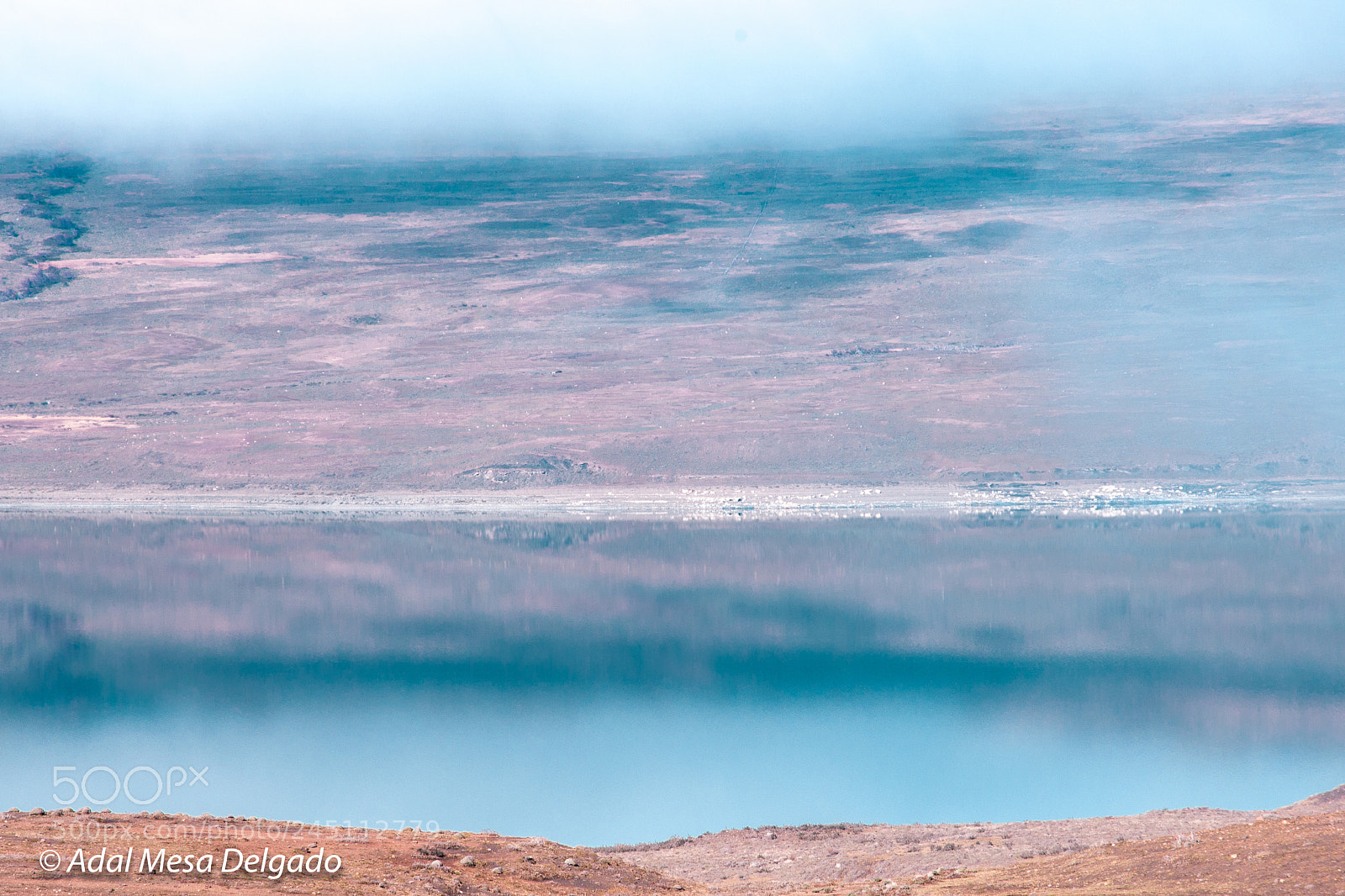 Nikon D610 sample photo. Blur reflection photography