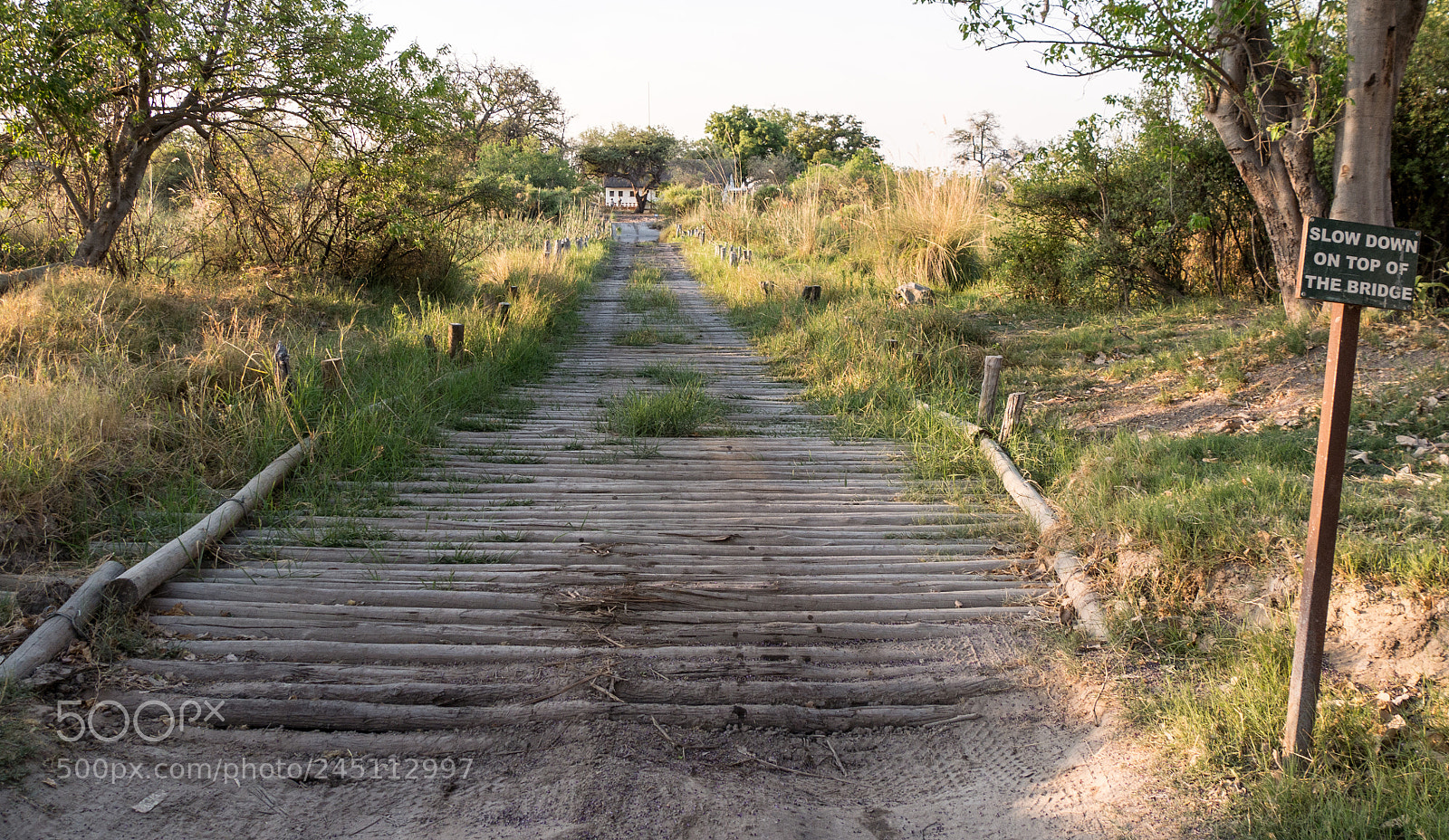 Panasonic DMC-G70 sample photo. African wooden bridge photography