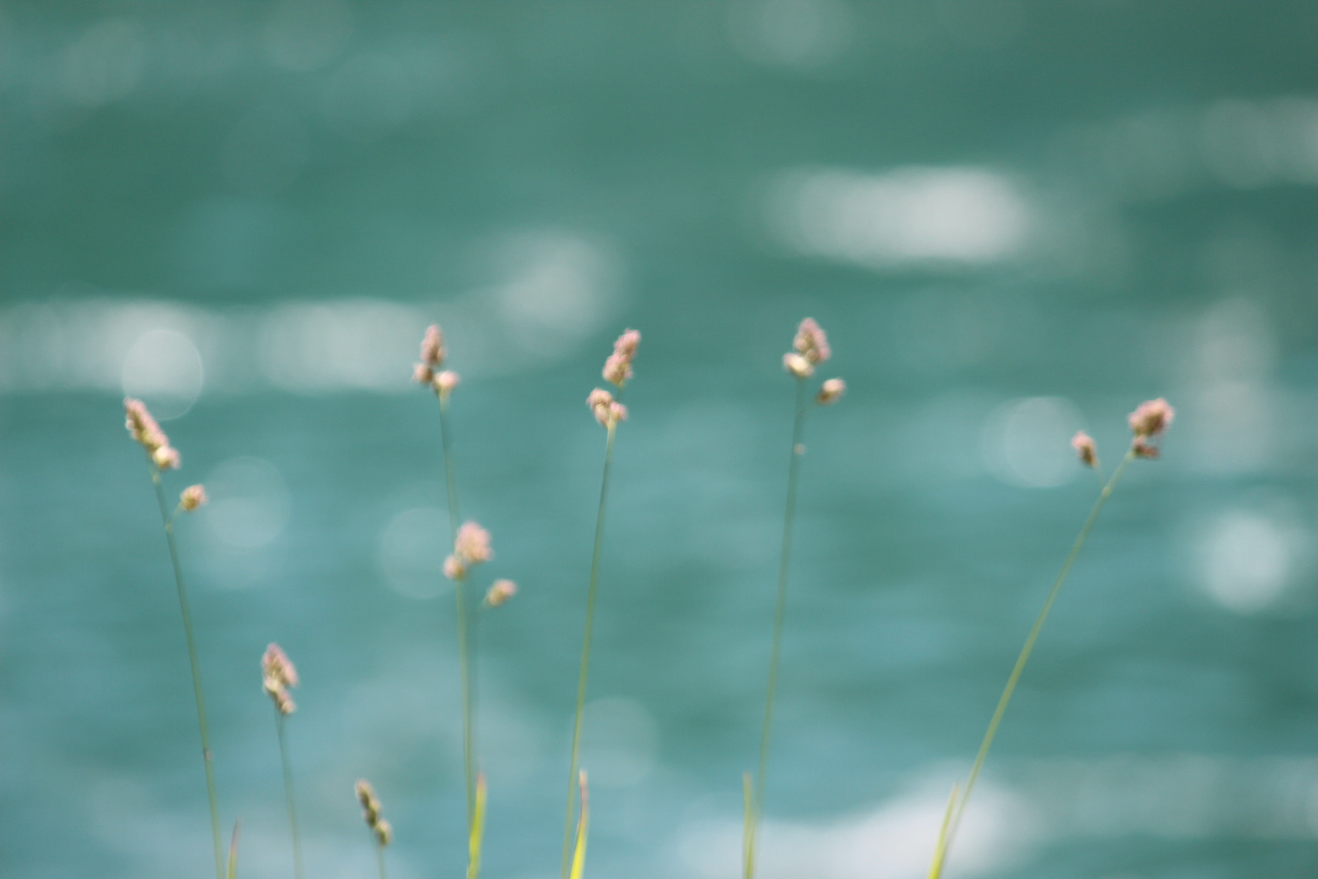 Canon EF-S 55-250mm F4-5.6 IS II sample photo. 53@19 photography