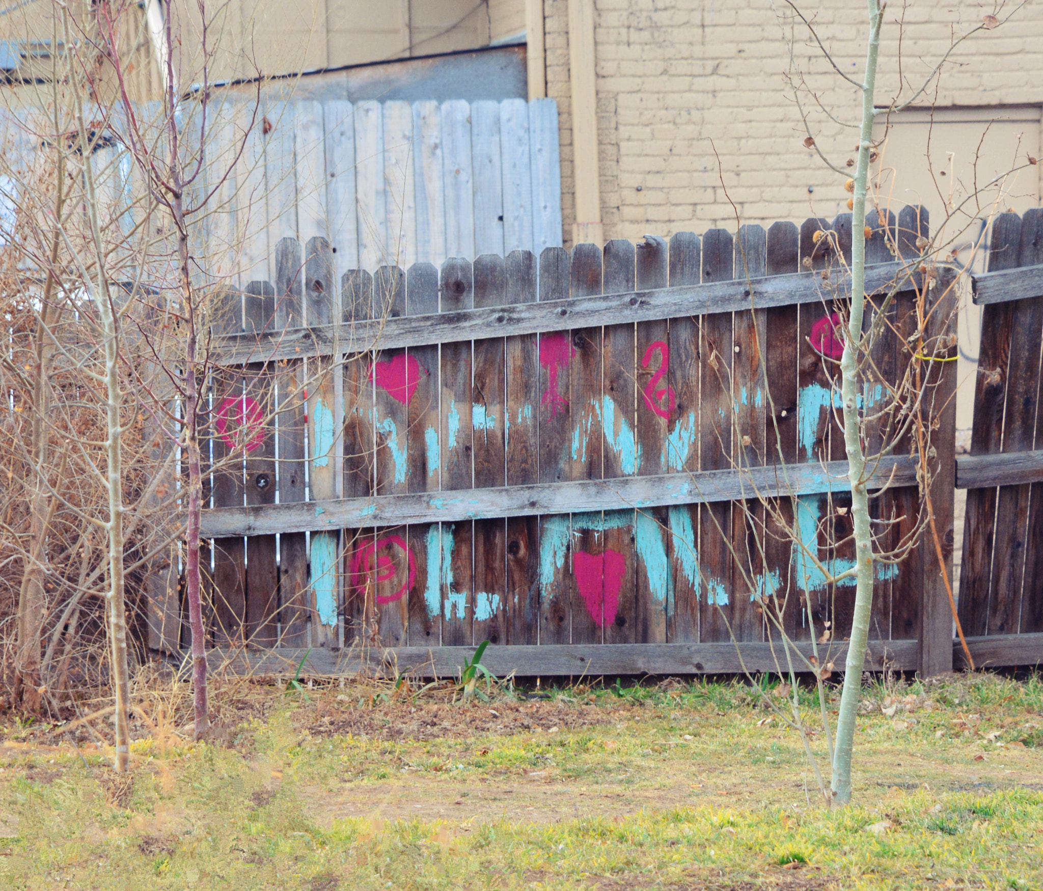 Nikon D5200 sample photo. City streets.jpg photography