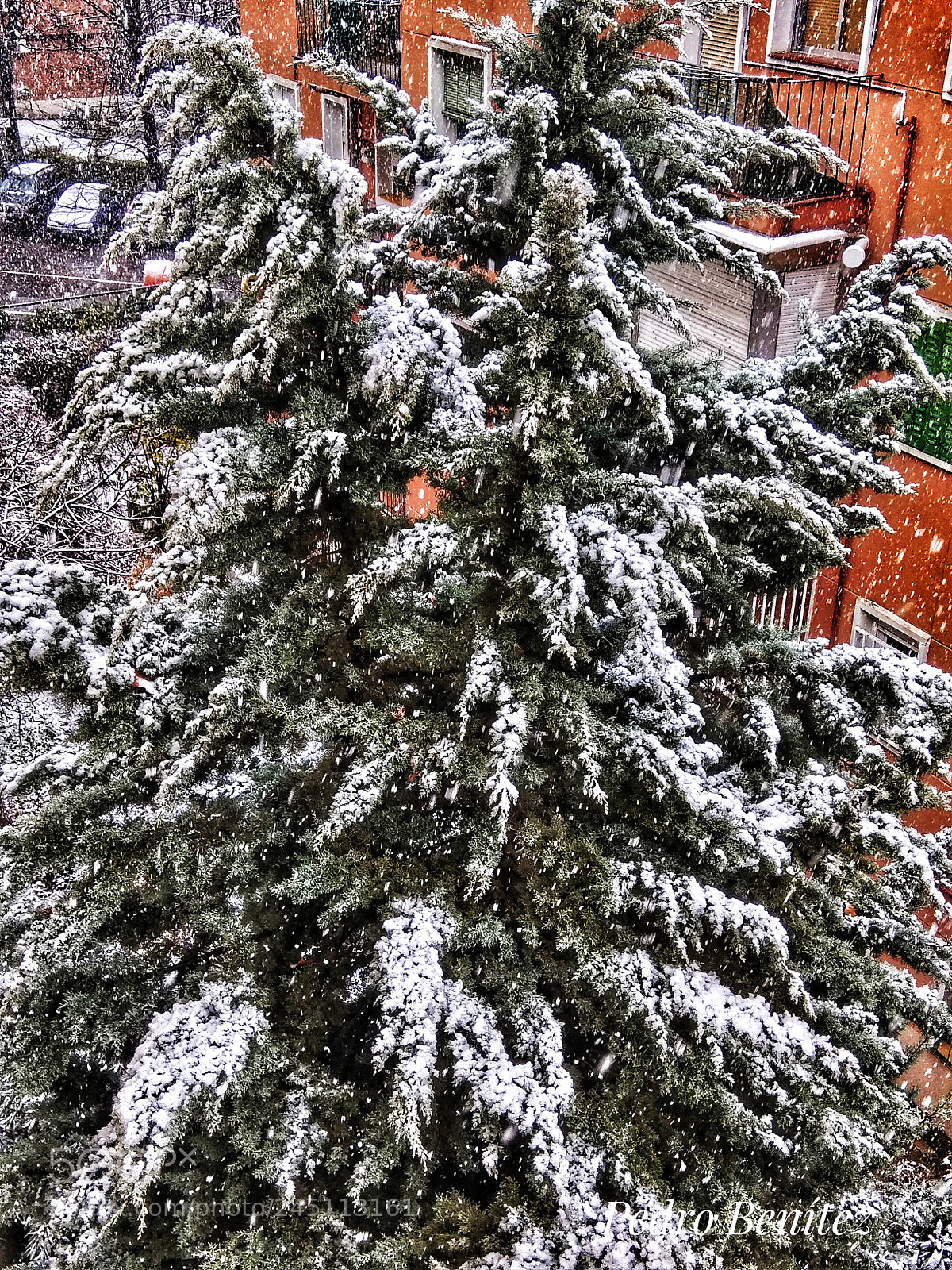 Xiaomi Redmi Note 4 sample photo. Nevada photography