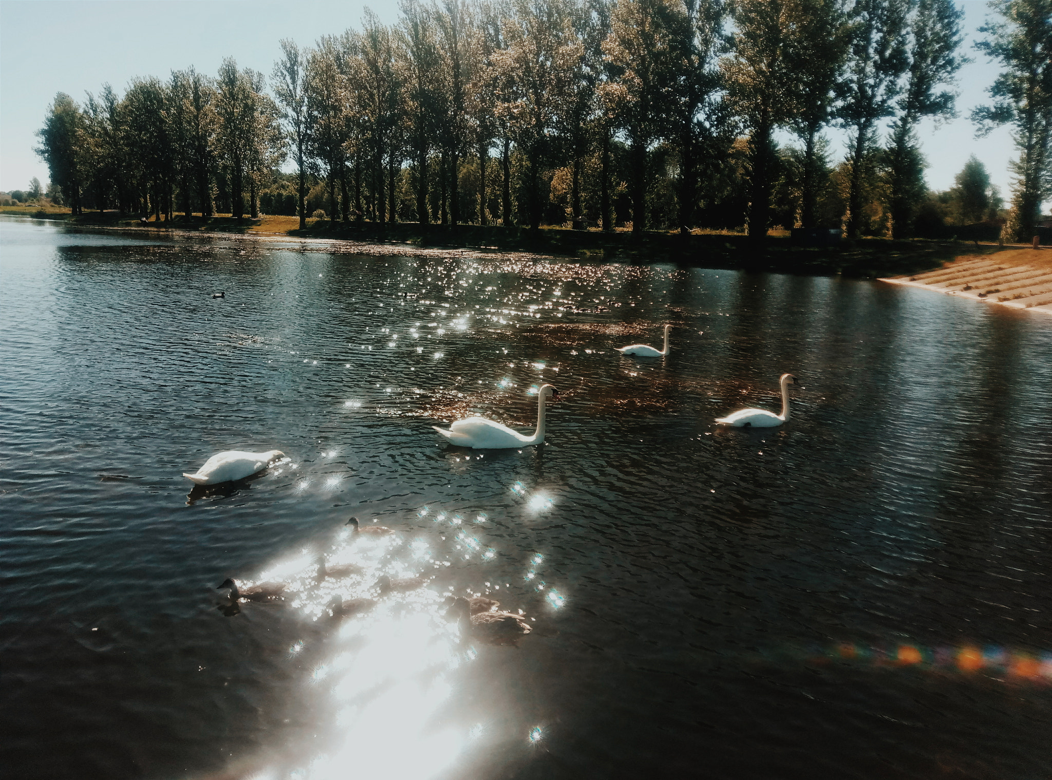 Meizu m3 note sample photo. Processed with vscocam with c8 preset photography