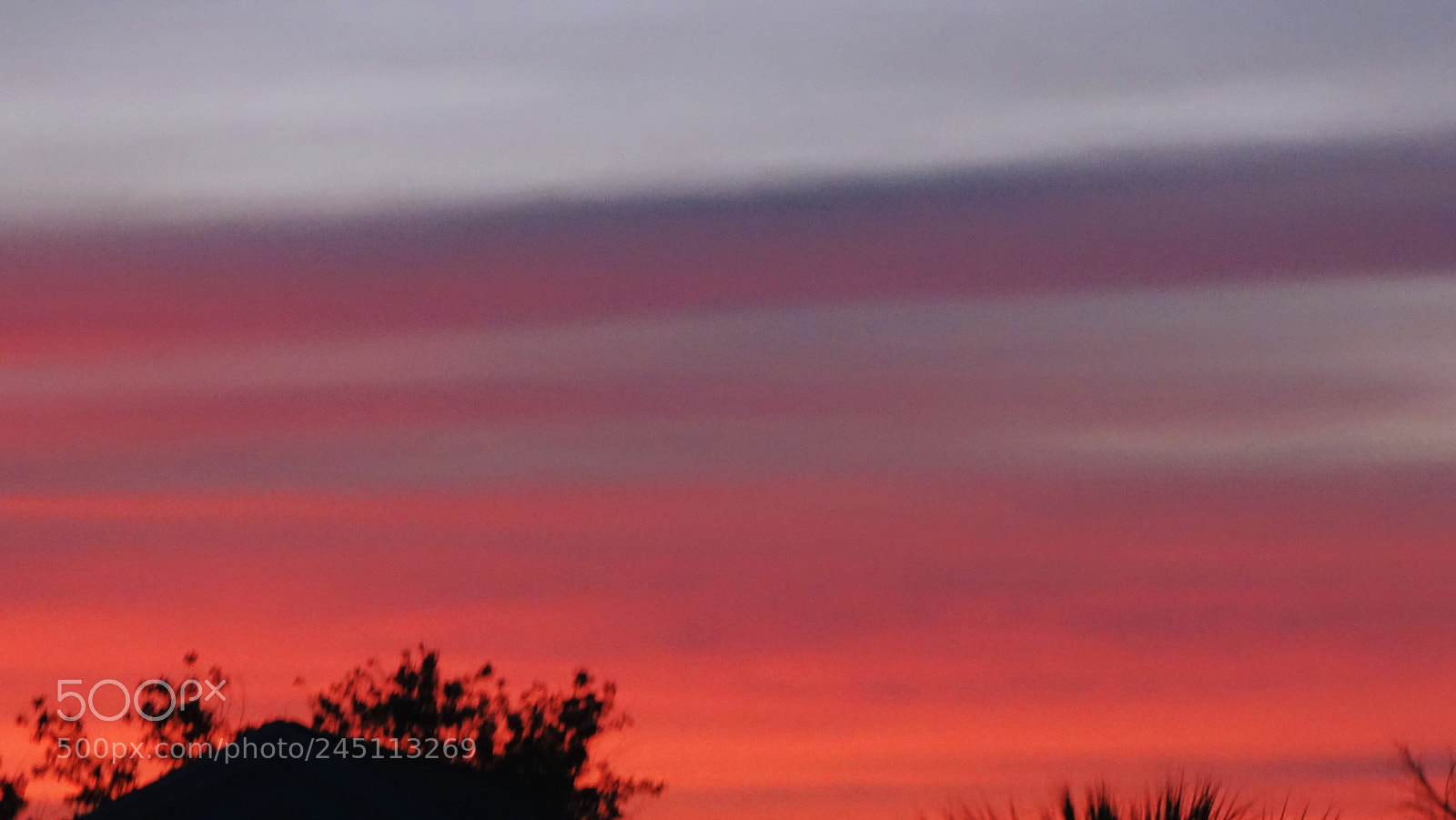 Sony Cyber-shot DSC-RX100 II sample photo. Night’s bright colors photography