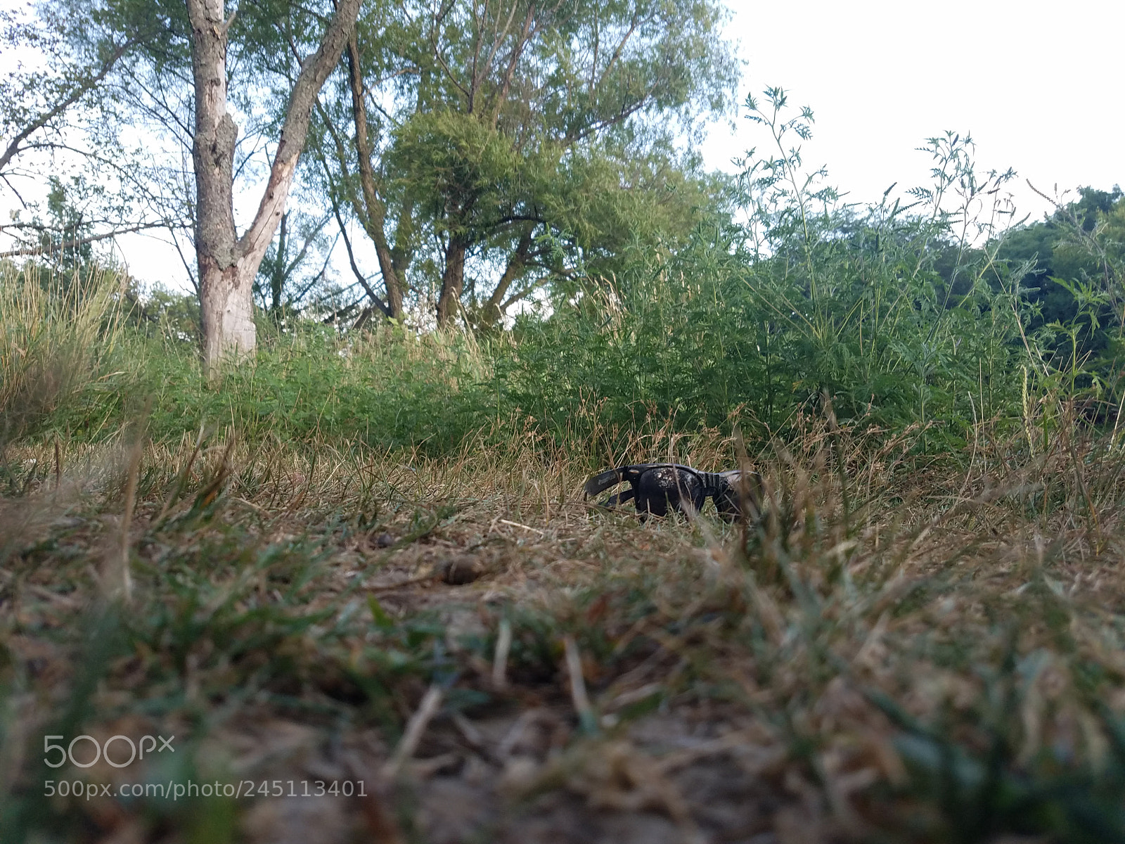 Samsung Galaxy S7 Edge sample photo. 2.jpg photography