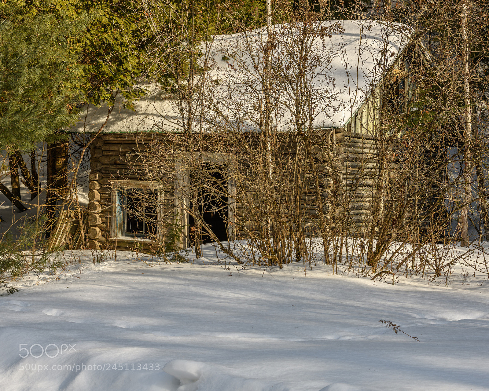 Nikon D850 sample photo. The old log house photography