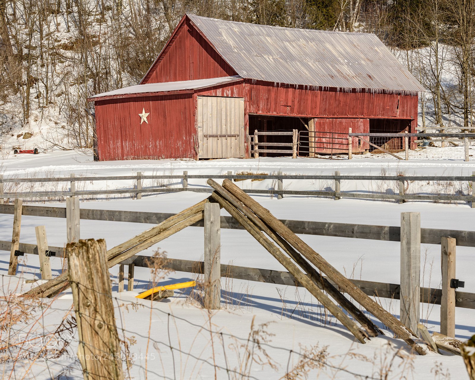 Nikon D850 sample photo. A red barn photography