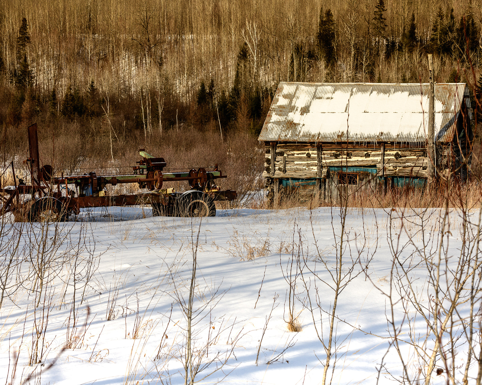 Nikon D850 sample photo. Old log garage photography