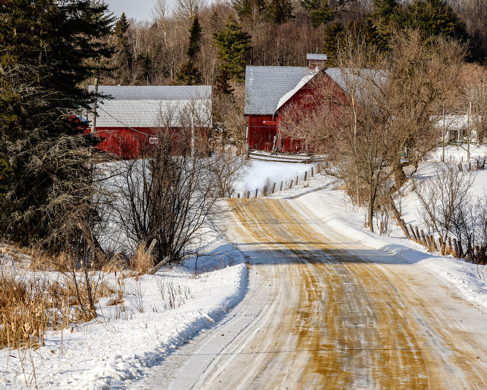 Nikon D850 sample photo. Red farm buildings photography