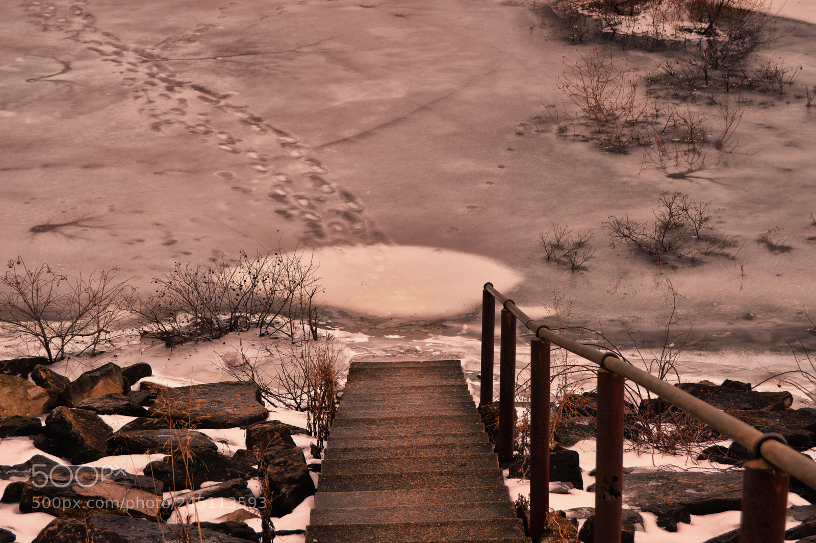 Nikon D3200 sample photo. Ice tracks photography