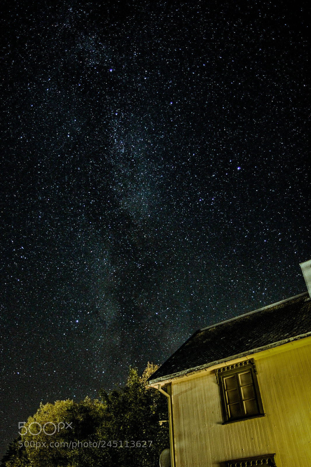 Canon EOS 550D (EOS Rebel T2i / EOS Kiss X4) sample photo. Homestead photography