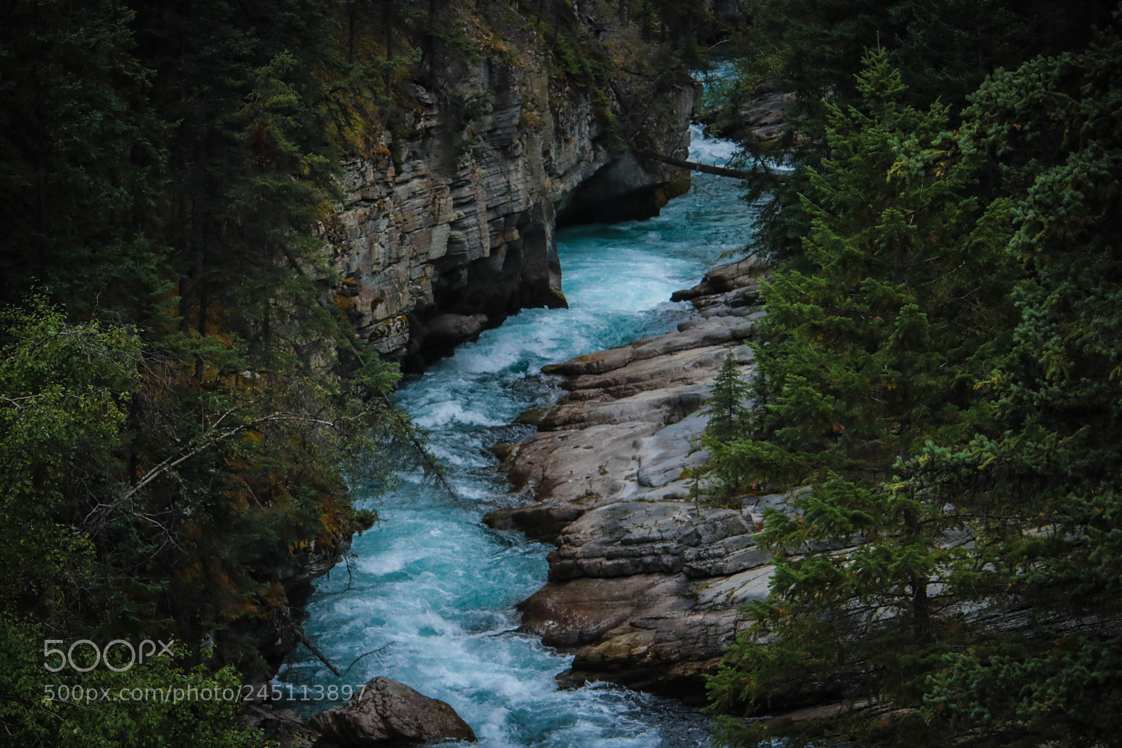 Canon EOS 760D (EOS Rebel T6s / EOS 8000D) sample photo. Athabasca photography