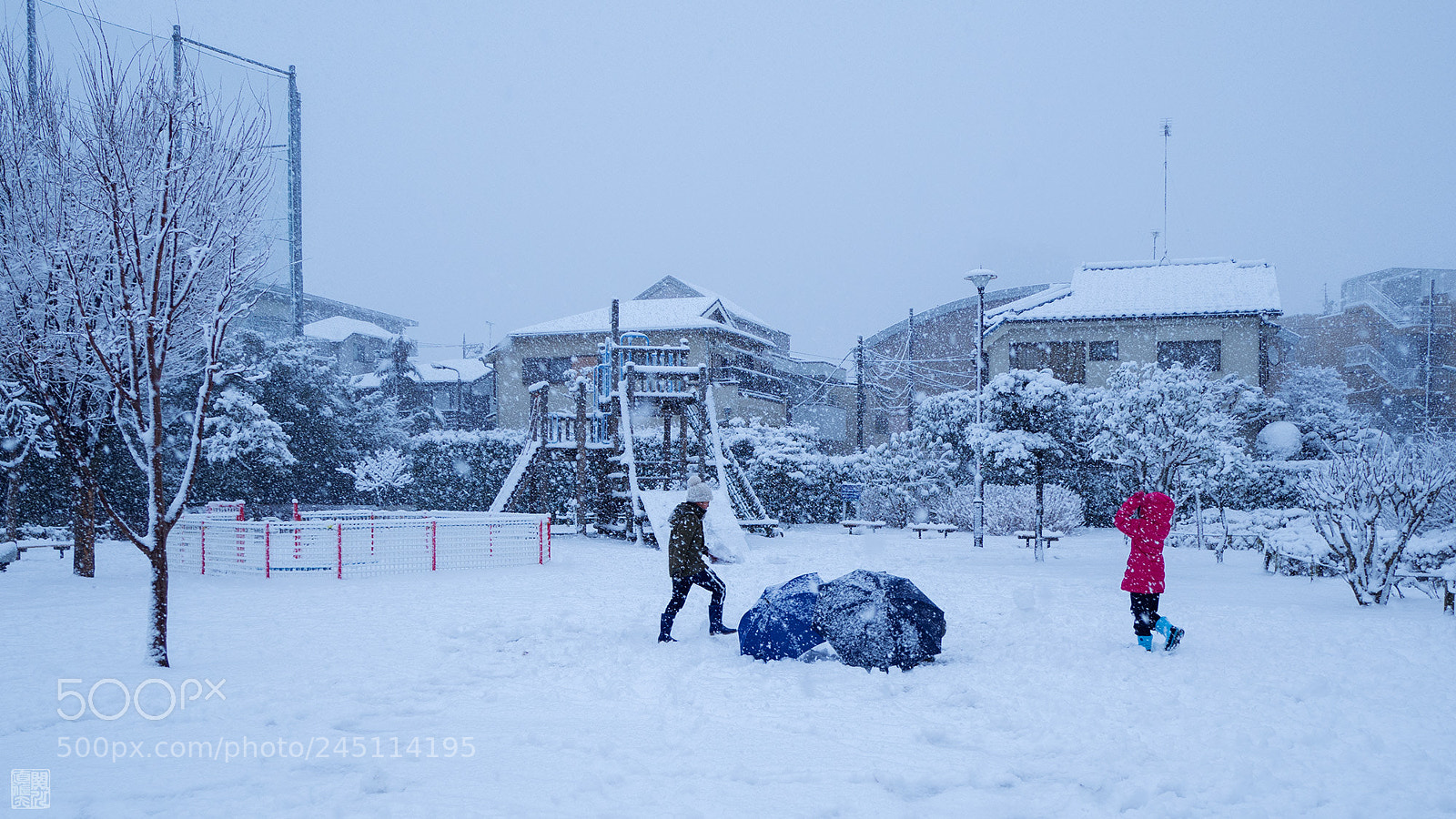 Olympus OM-D E-M10 II sample photo. Winter wonder in tokyo photography