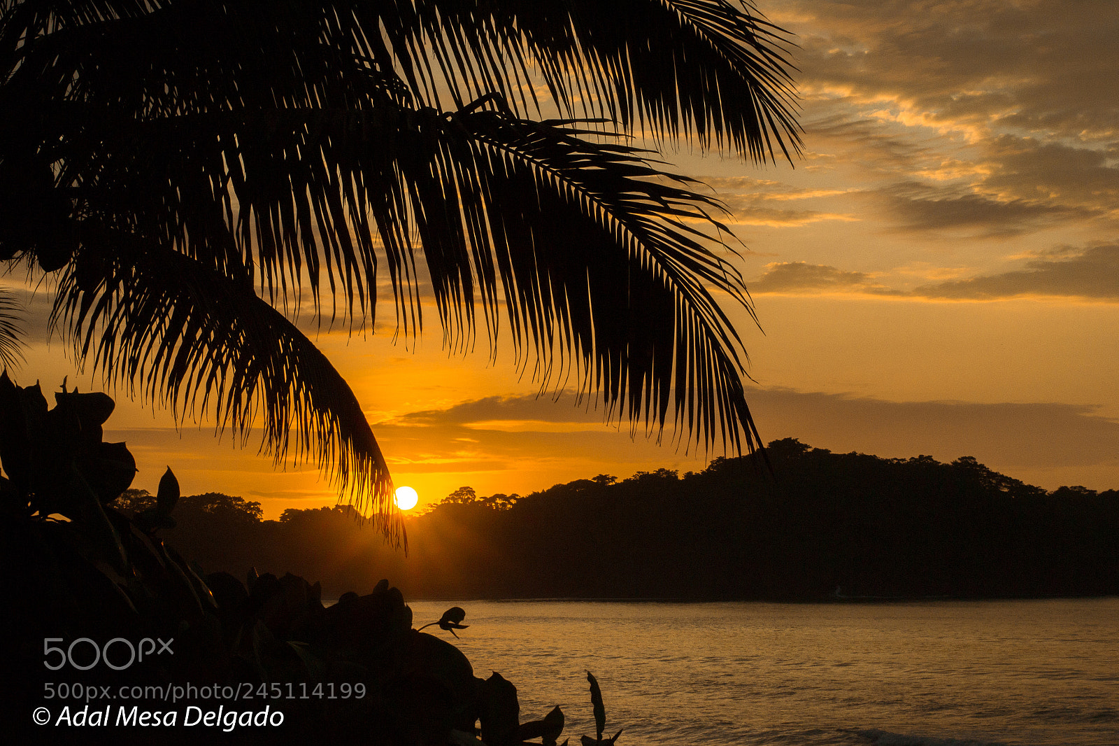 Nikon D3100 sample photo. Setting the day in photography