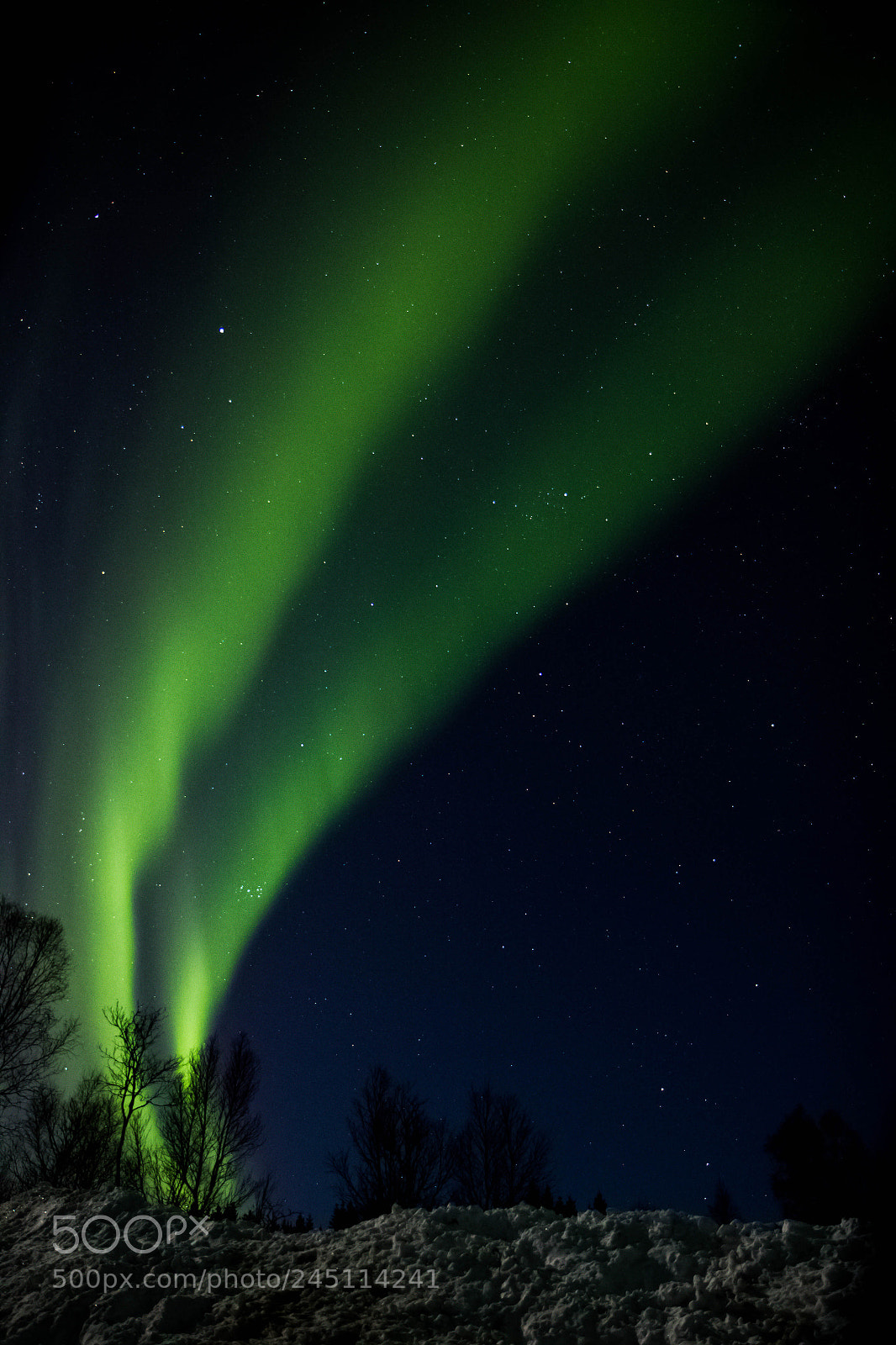 Canon EOS 550D (EOS Rebel T2i / EOS Kiss X4) sample photo. Winter aurora photography