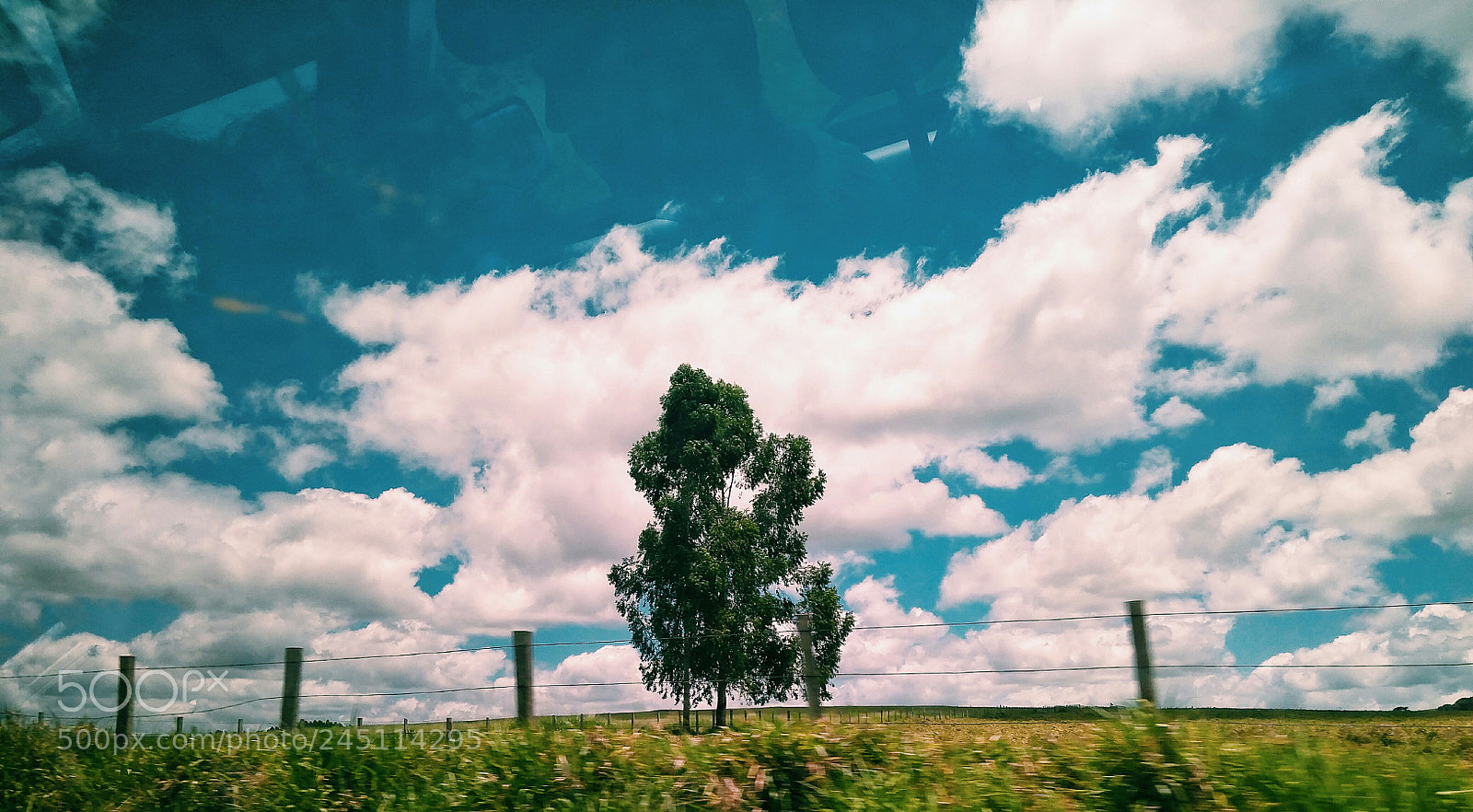 Xiaomi Redmi 4A sample photo. Untitled photography