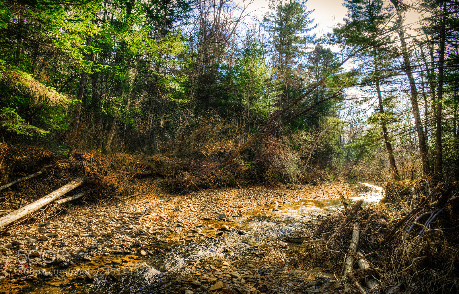 Nikon D810 sample photo. Creek in the forest photography
