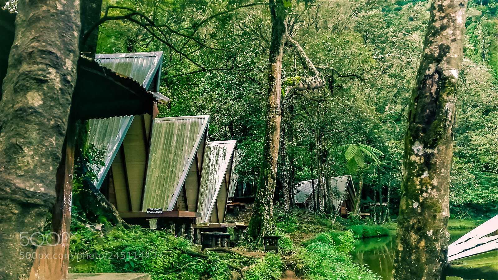 Samsung Galaxy Grand Prime sample photo. Somewhere in forest photography