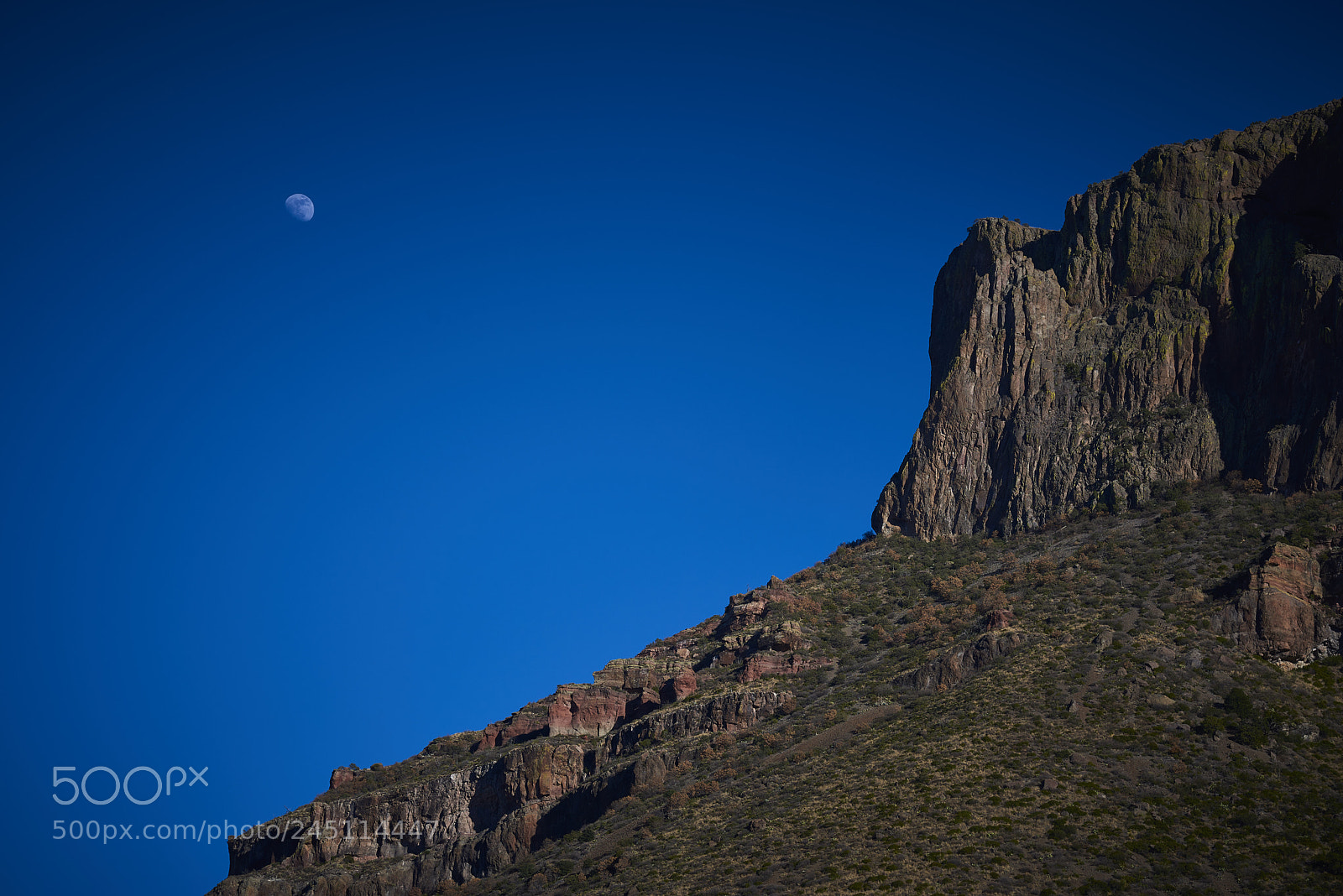 Nikon D810 sample photo. Moon over chisos photography