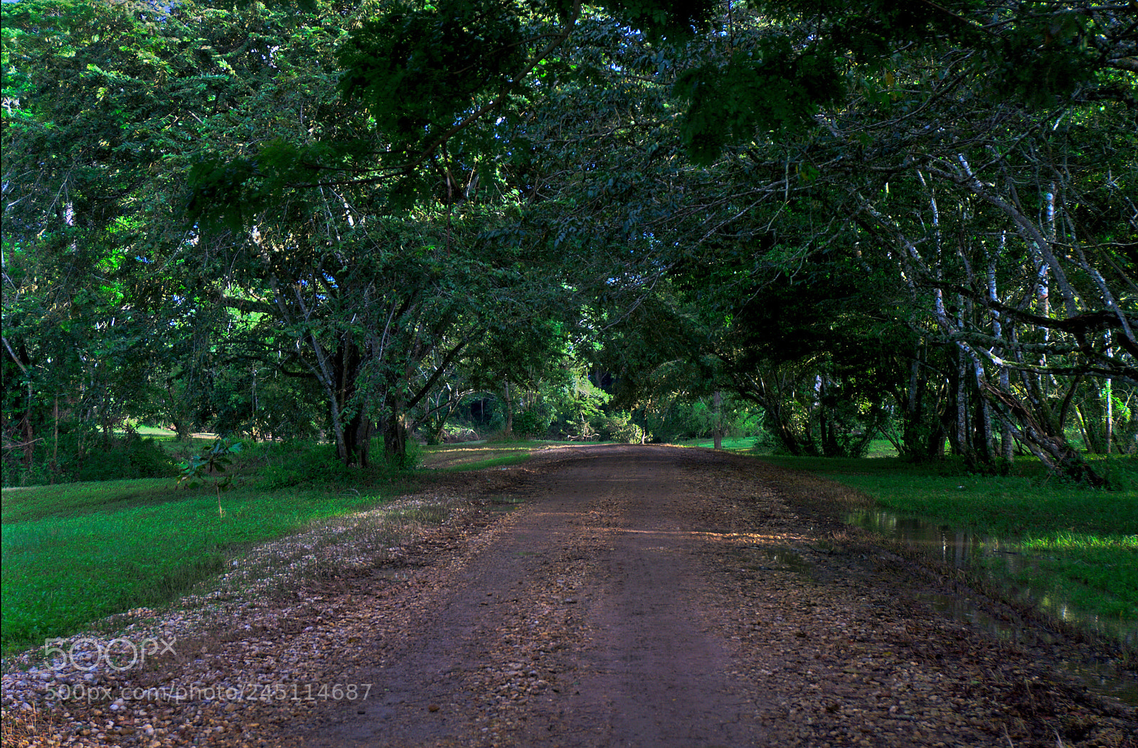 Sony a6000 sample photo. Dsc04655-01.jpeg photography