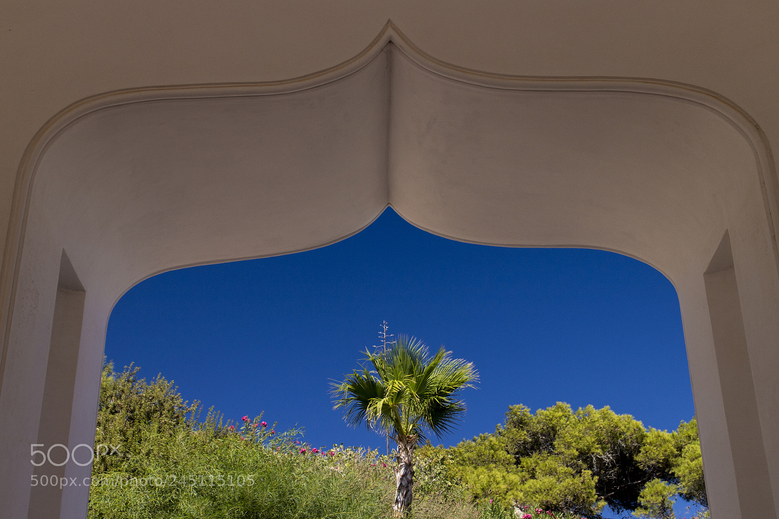 Canon EOS M sample photo. Palm arch photography