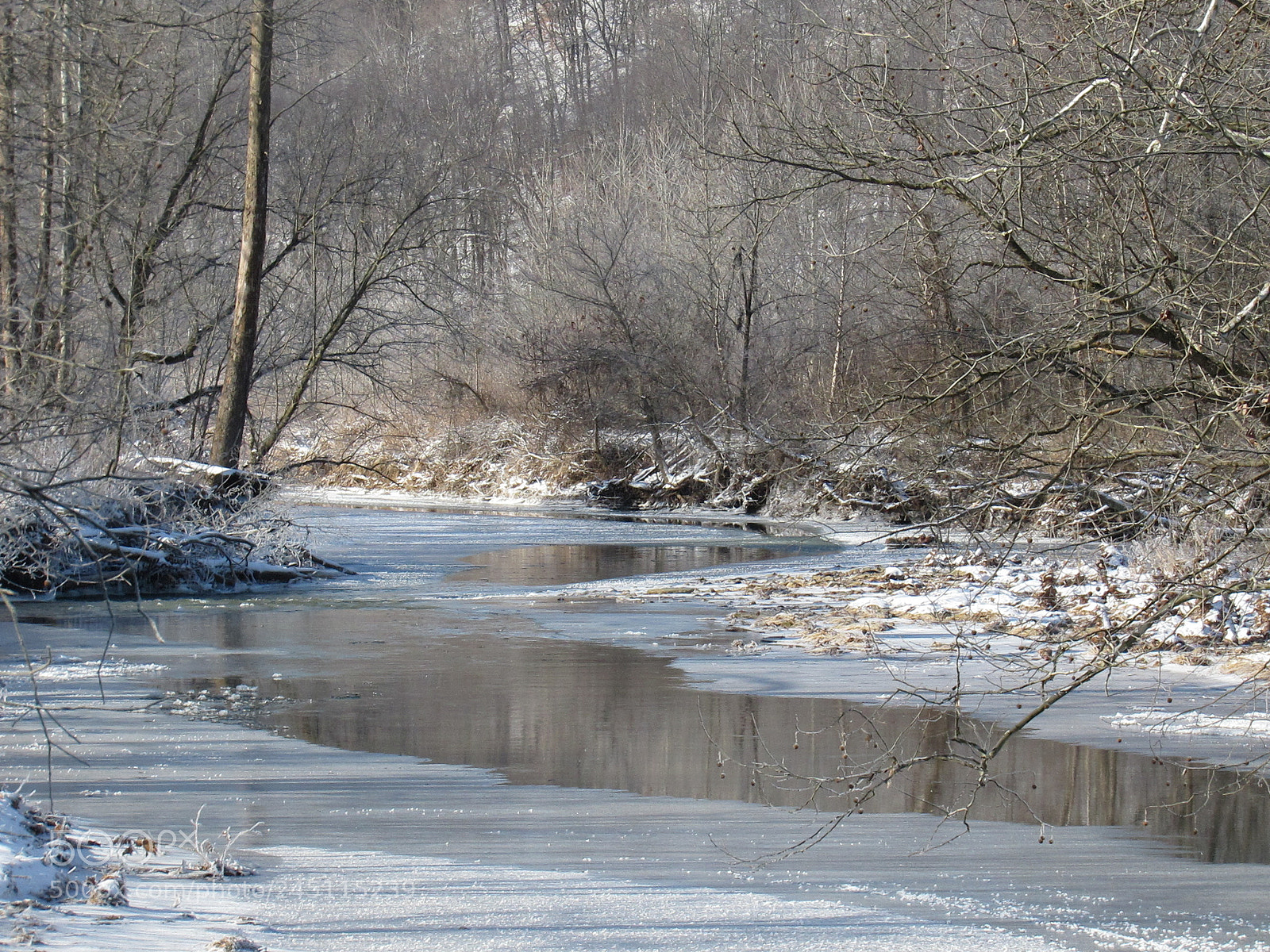 Canon PowerShot SX530 HS sample photo. Cold as ice photography