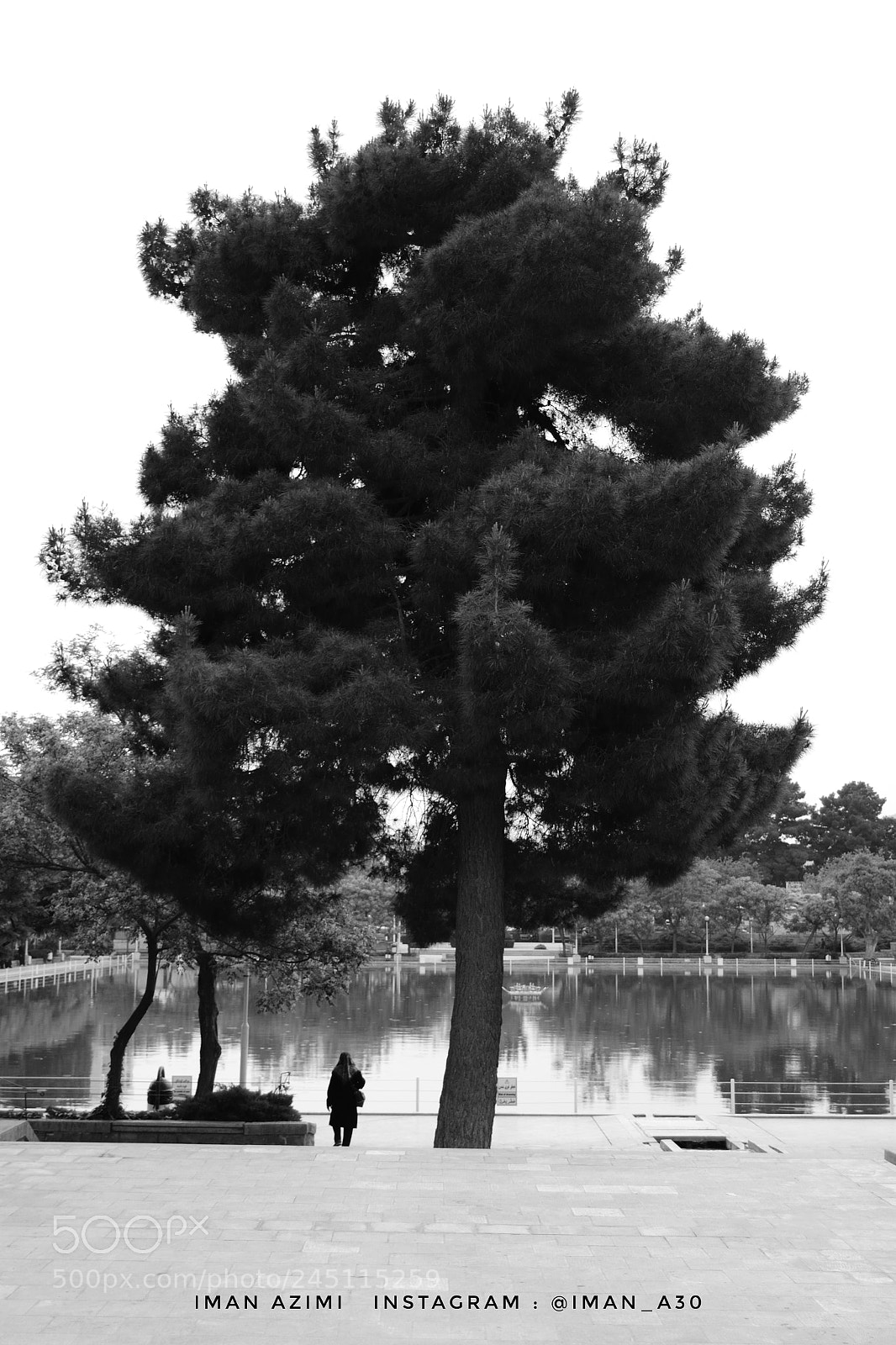 Nikon D3100 sample photo. Untitled photography