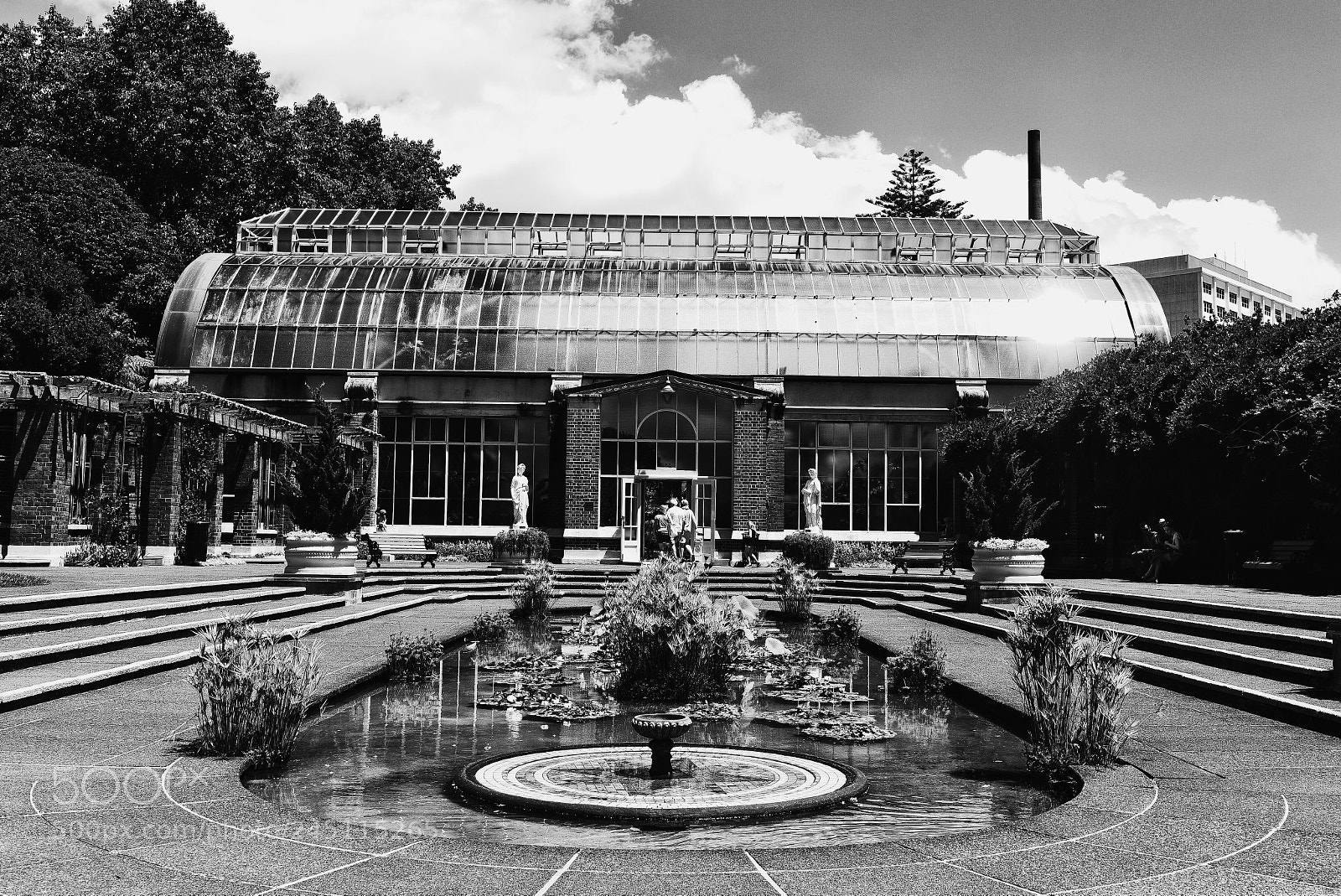 Nikon D810 sample photo. Winter garden photography