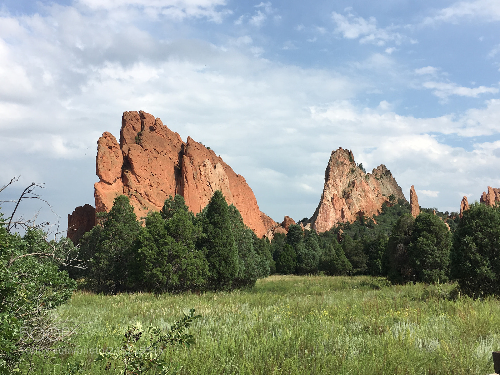 Apple iPhone 6s Plus sample photo. Out of the ground photography