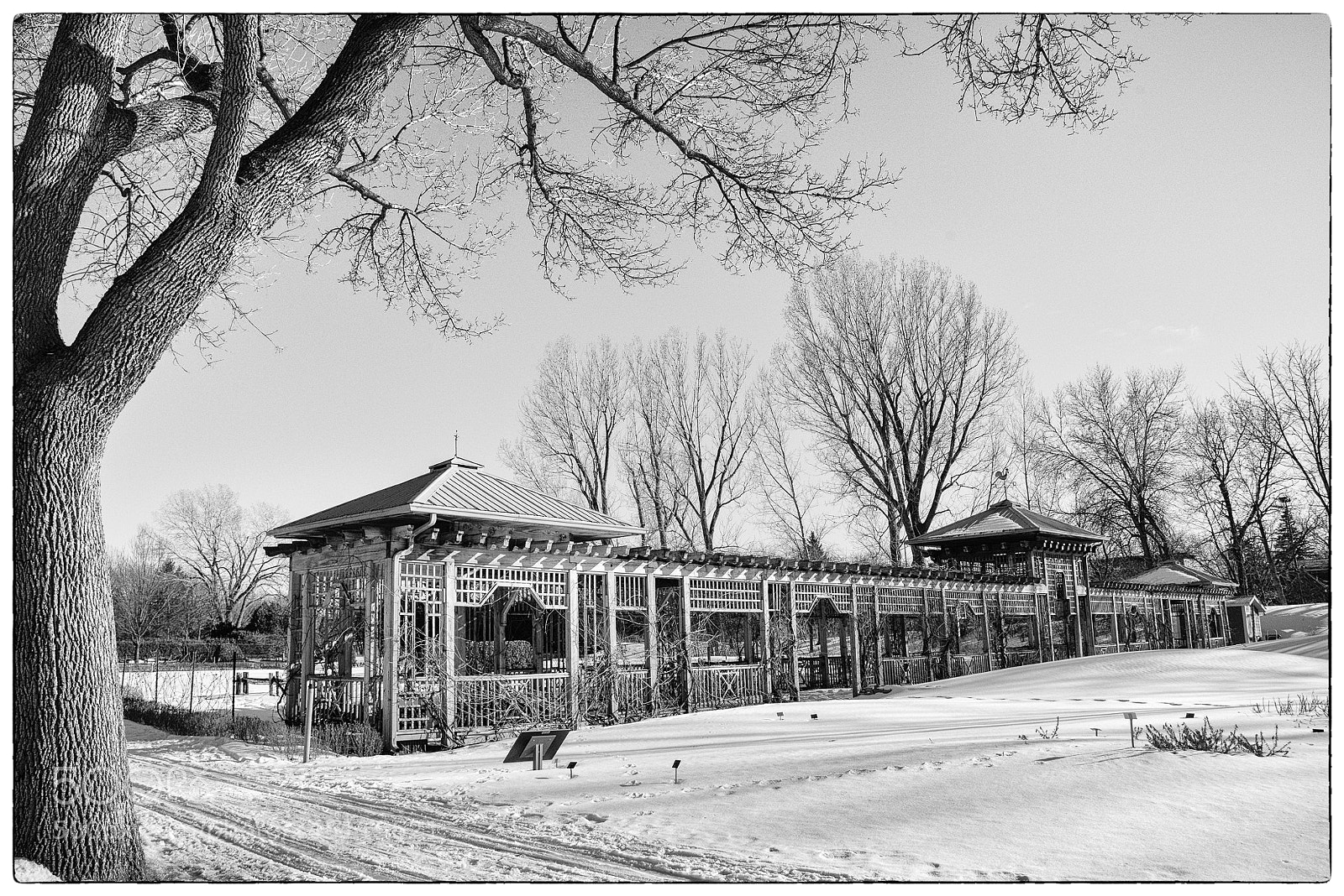 Nikon D800 sample photo. Jardin botanique photography