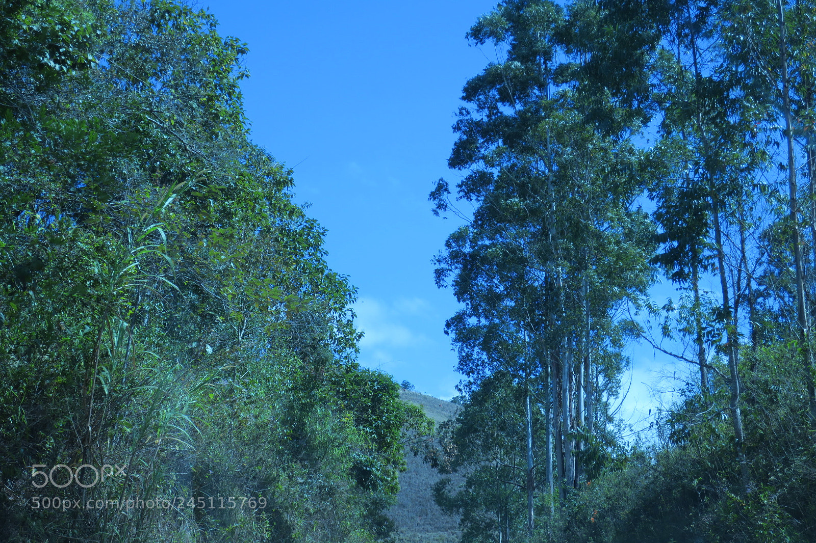 Canon PowerShot G9 X sample photo. Img photography