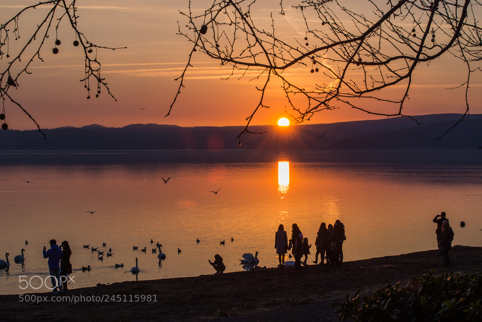 Nikon D610 sample photo. Sunset over the lake photography