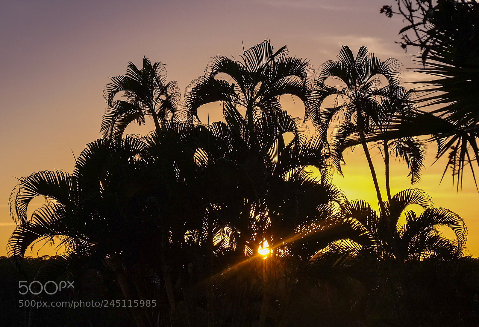 Fujifilm X-T10 sample photo. Sunny isles beach sunset photography