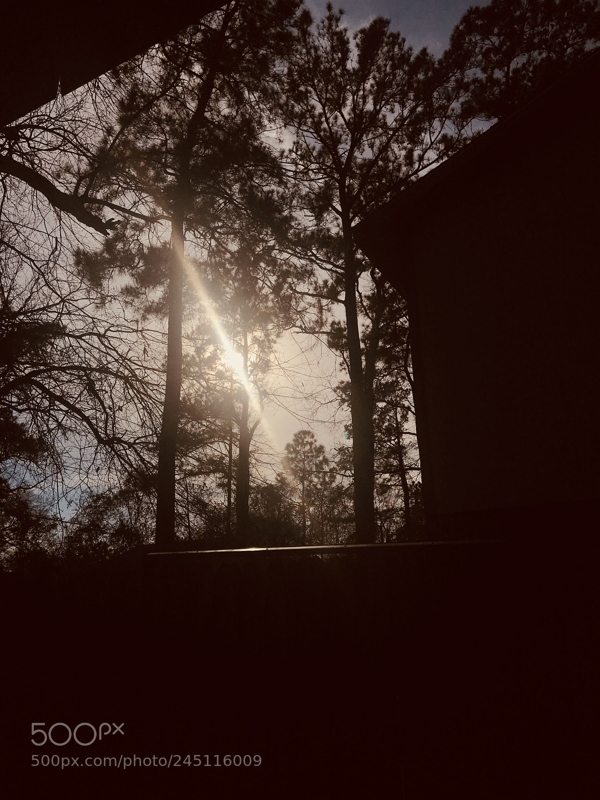 Apple iPhone 7 sample photo. My mind at night 3 photography