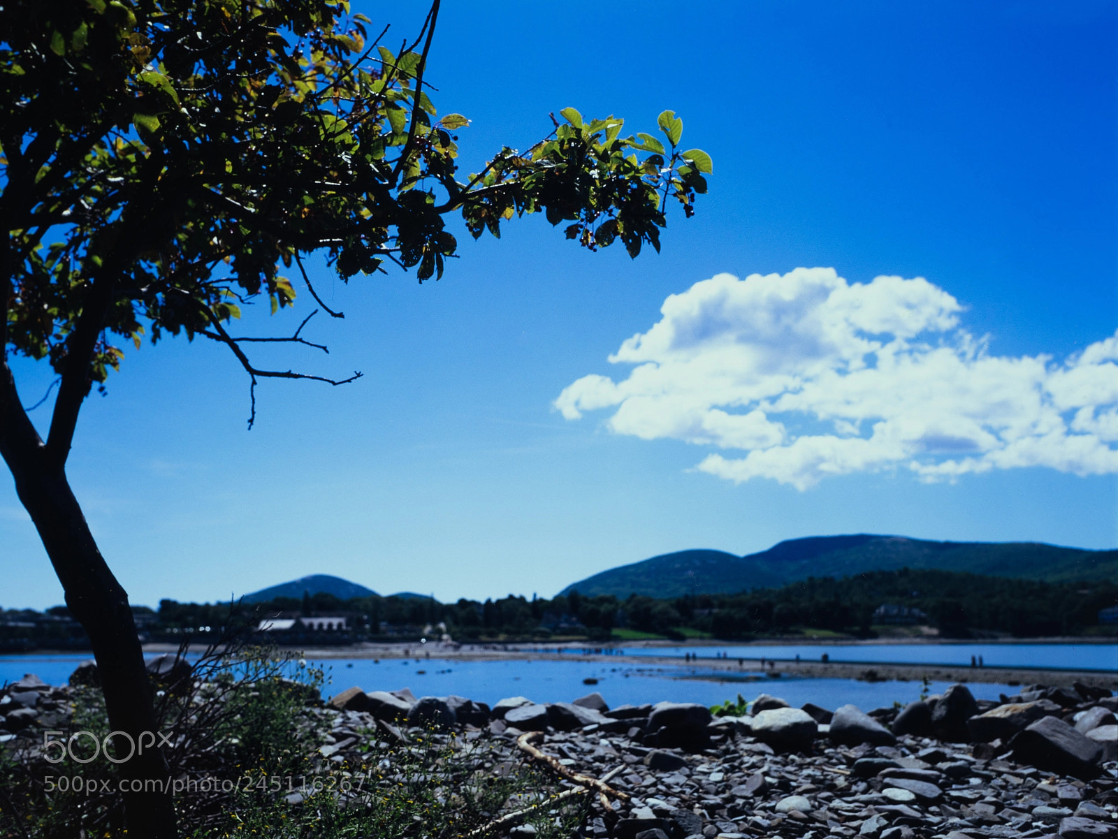 Sony a7R sample photo. Bar harbor land bridge photography
