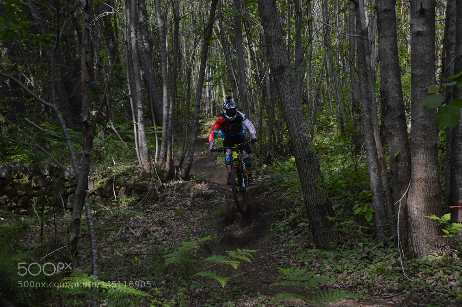 Nikon D3200 sample photo. Mtb photography