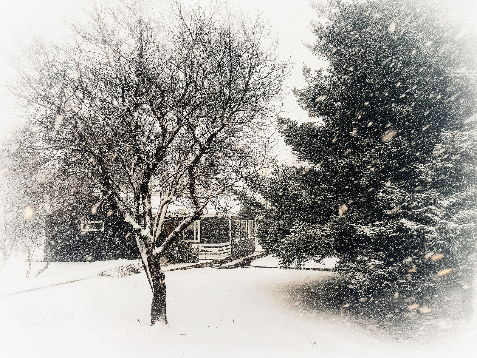 Samsung Galaxy S8+ sample photo. Winter photography