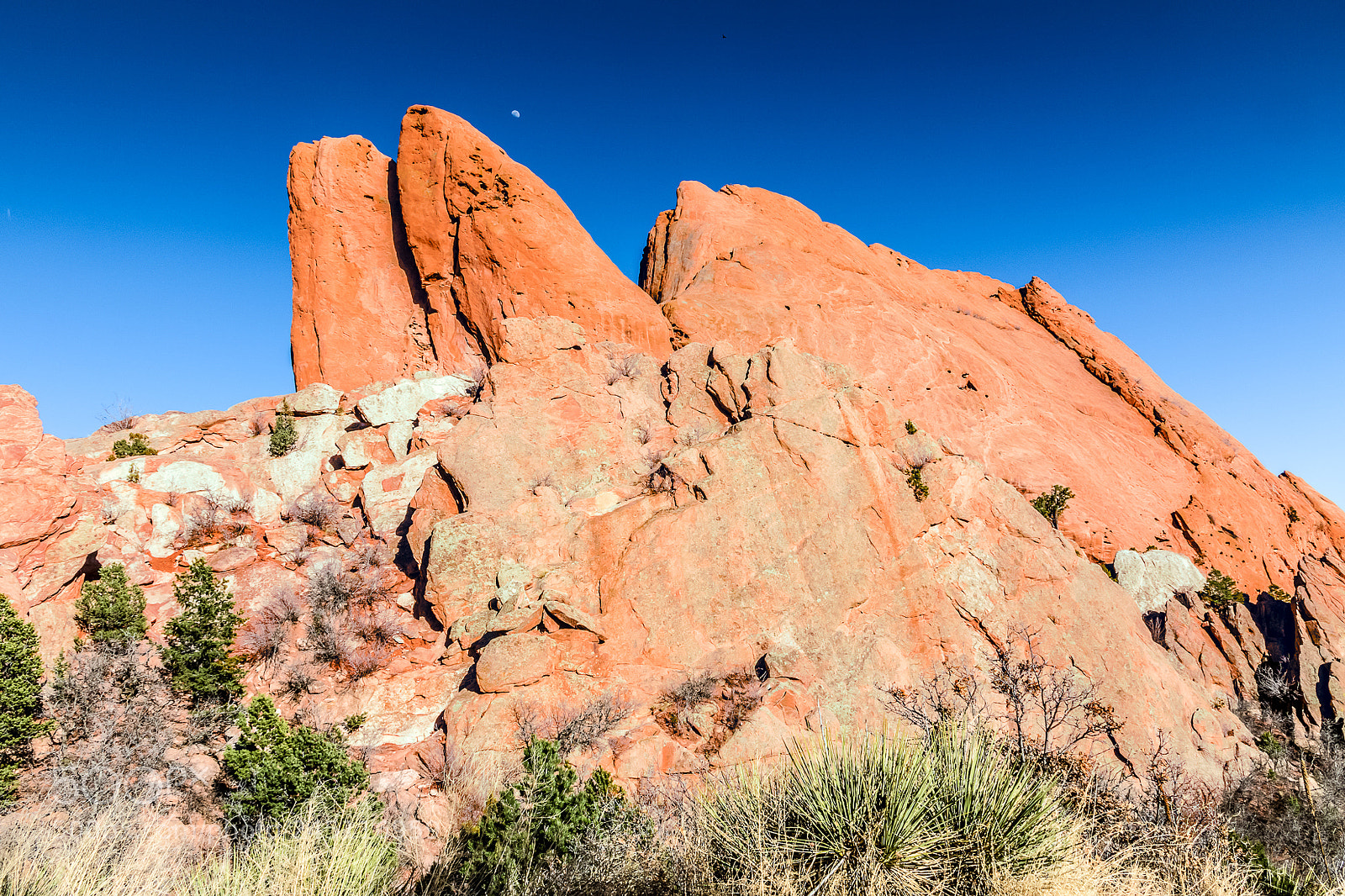 Canon EOS 7D Mark II sample photo. Garden of the gods photography