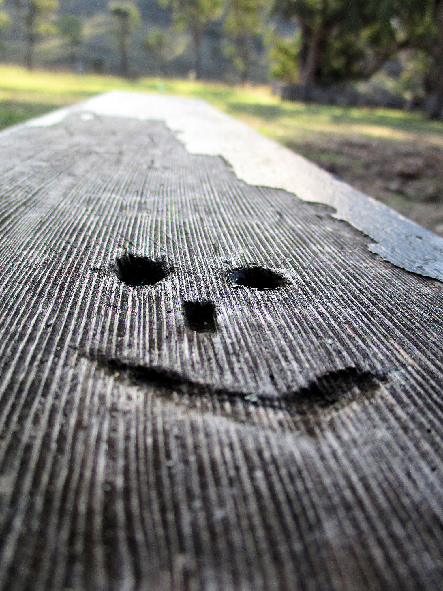 Canon IXUS 185 sample photo. Keep smiling photography