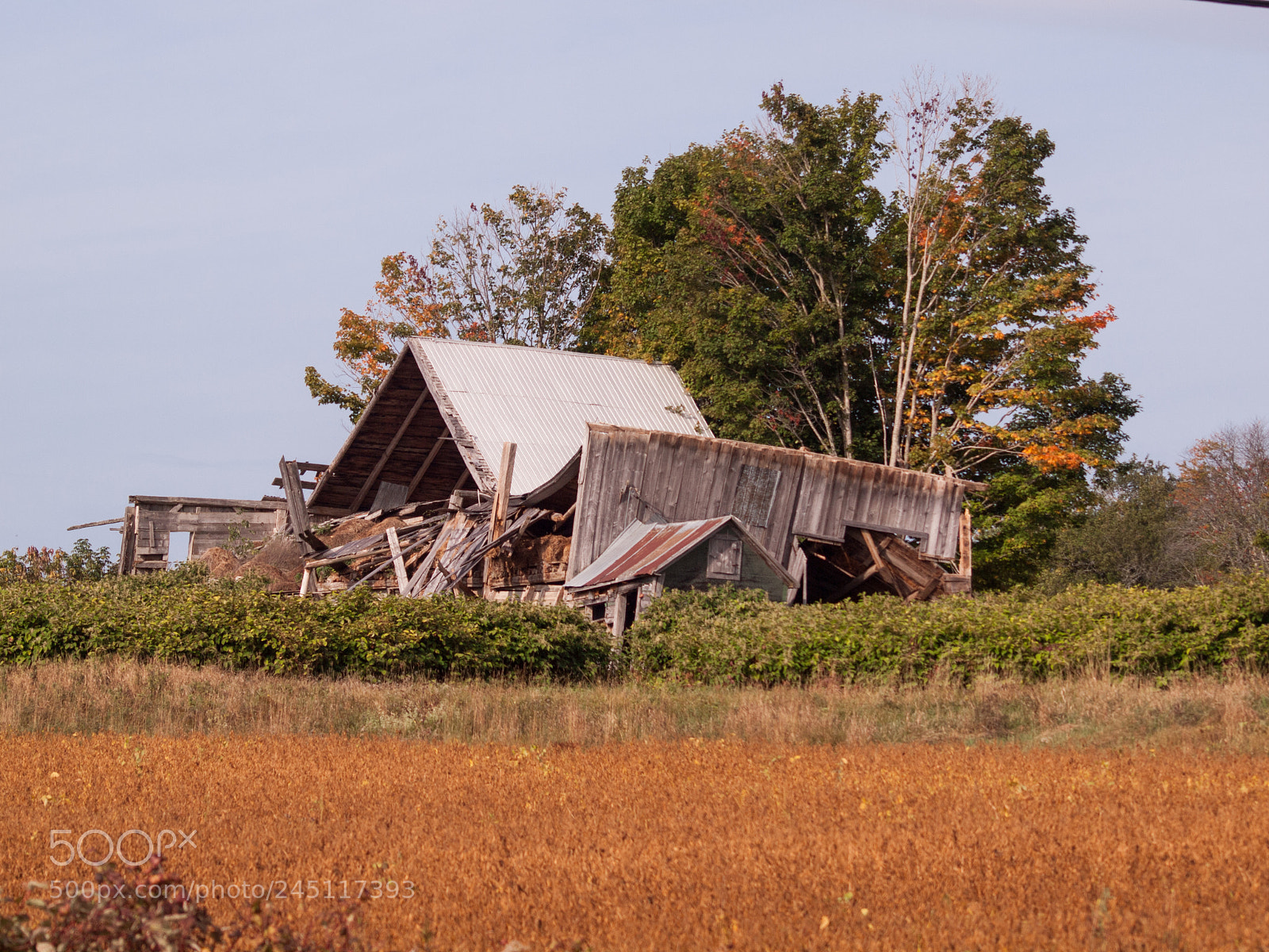 Olympus E-620 (EVOLT E-620) sample photo. End of days photography
