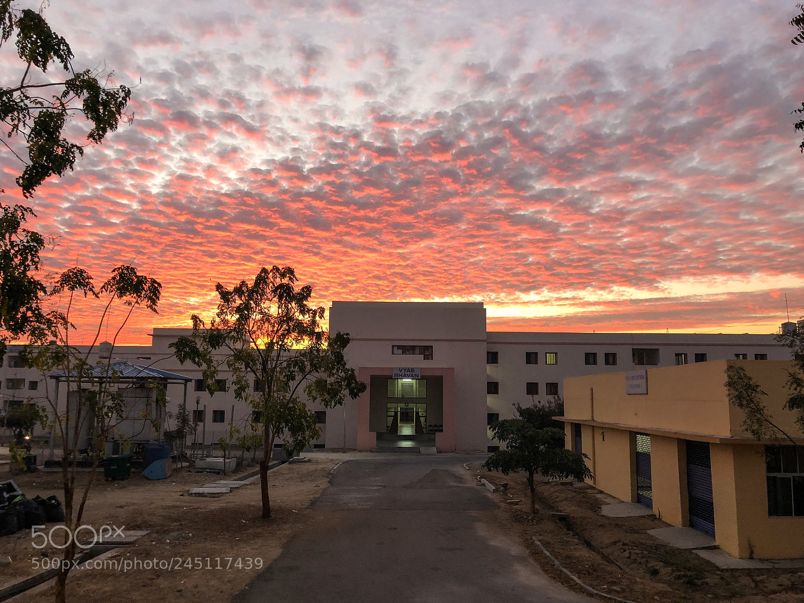 Apple iPhone 8 Plus sample photo. The mundane morning photography