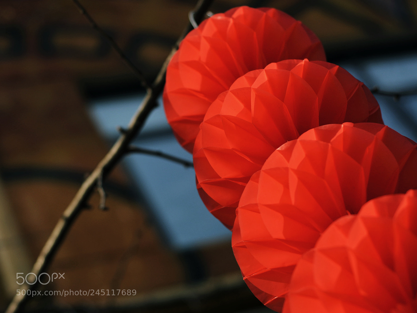 Nikon D7100 sample photo. Chinese lantern photography