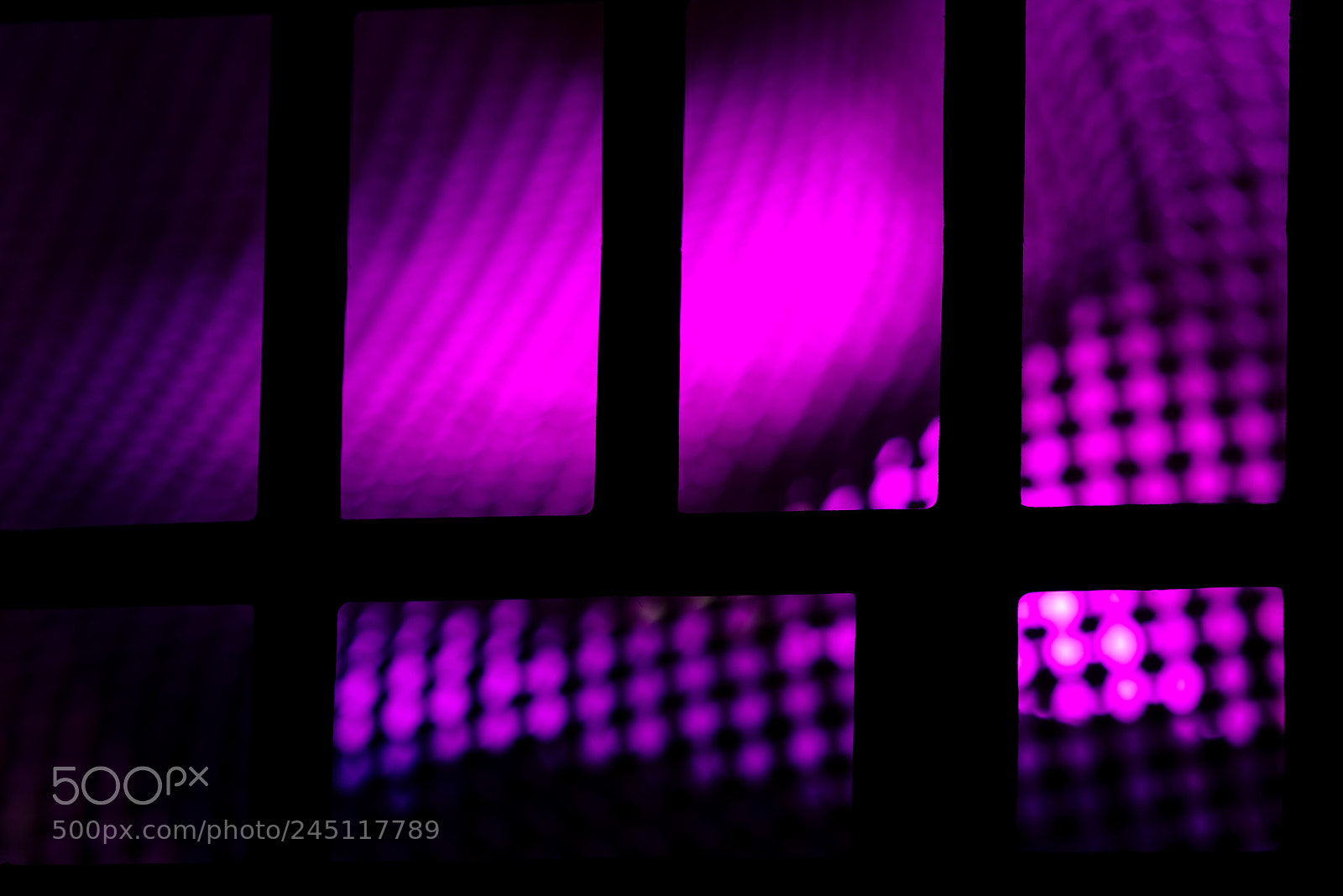 Nikon D810 sample photo. Purple haze photography