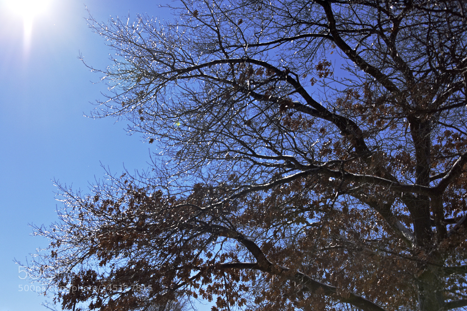 Nikon D810 sample photo. Natural beauty photography
