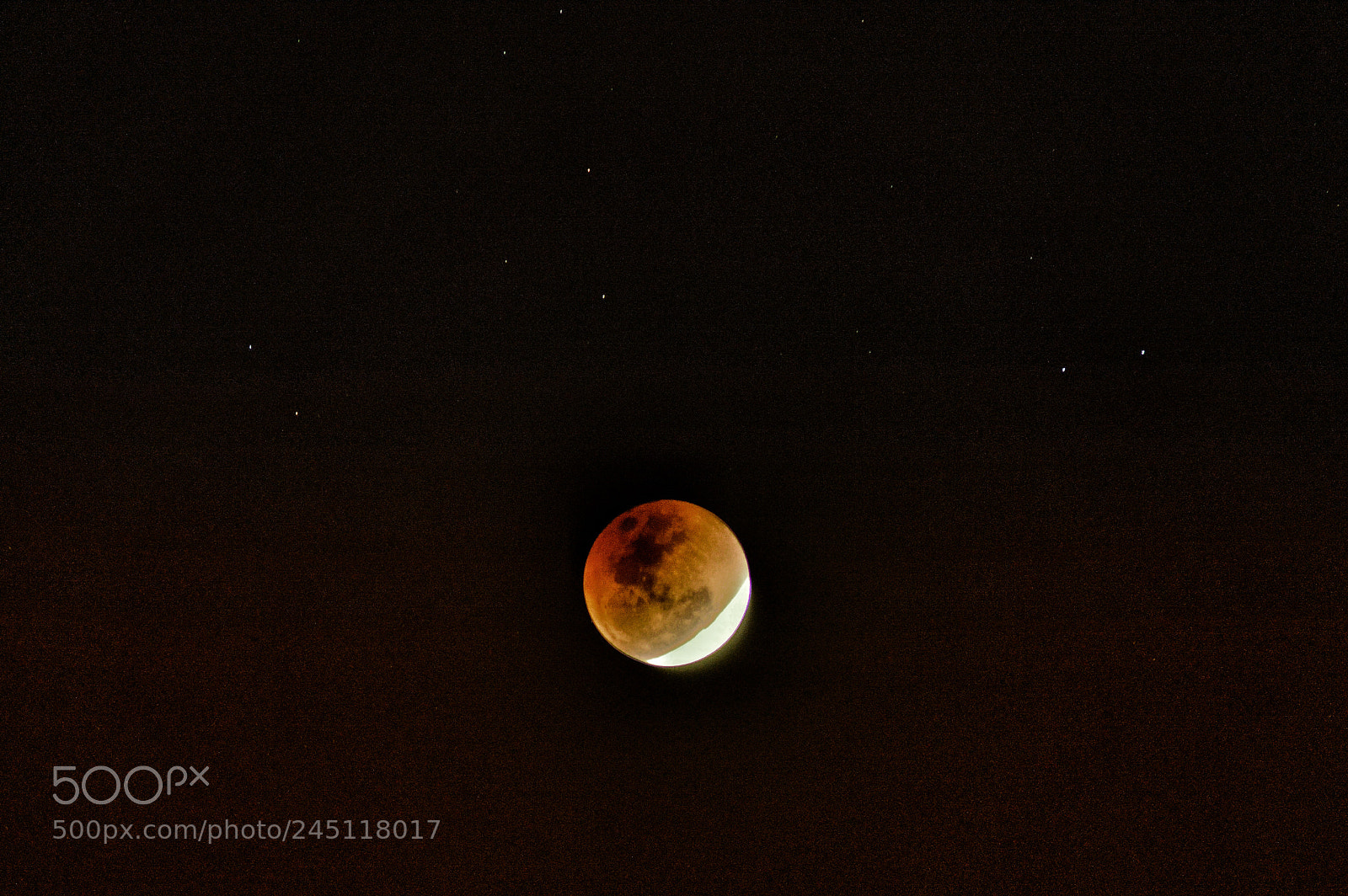Nikon D3200 sample photo. Super blue blood moom photography