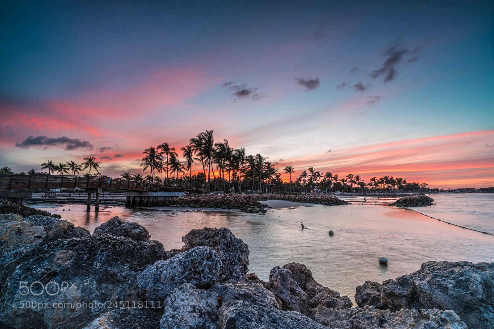Sony a7R II sample photo. Orangey photography