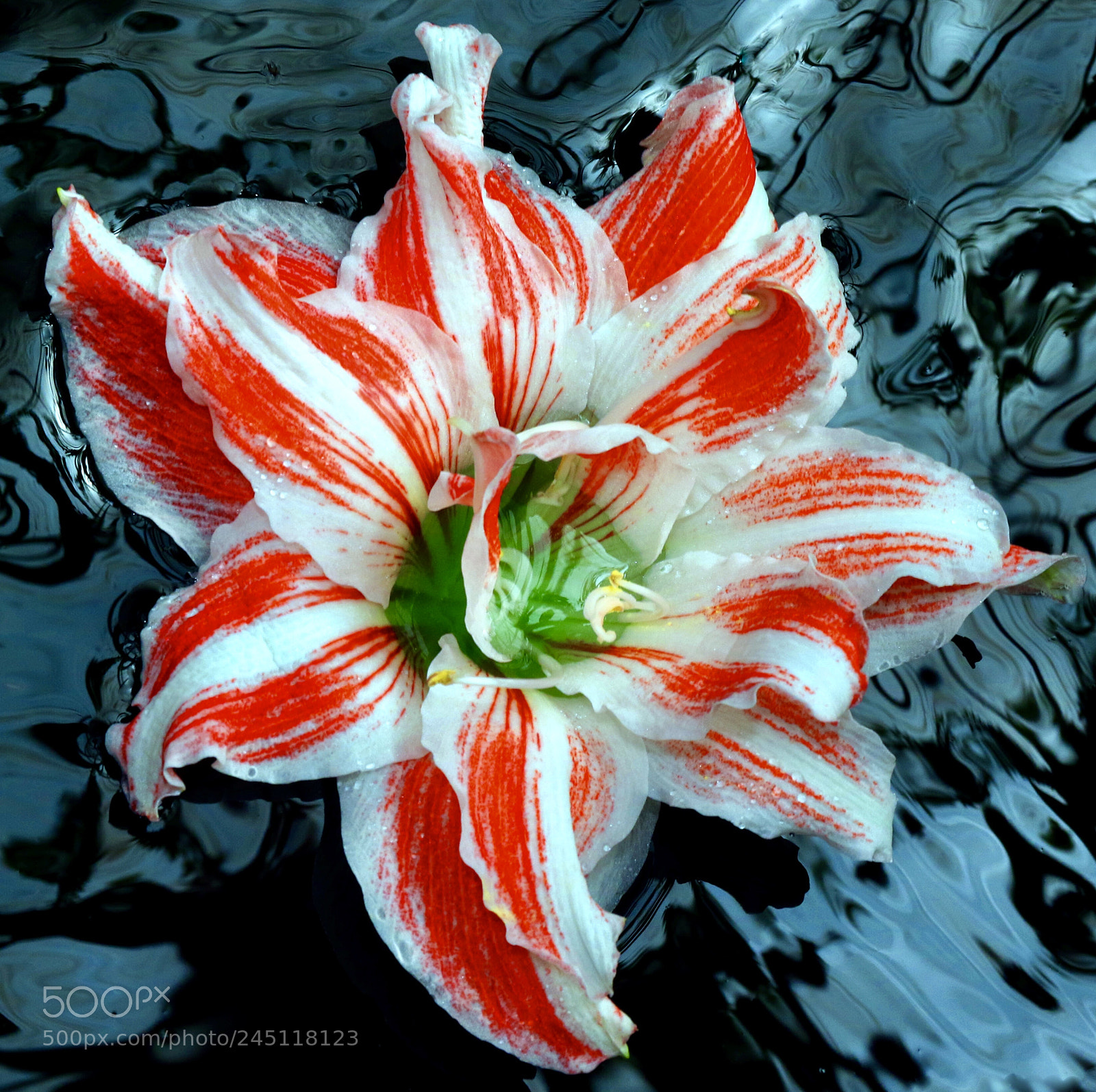 Canon EOS 7D Mark II sample photo. Colorful photography