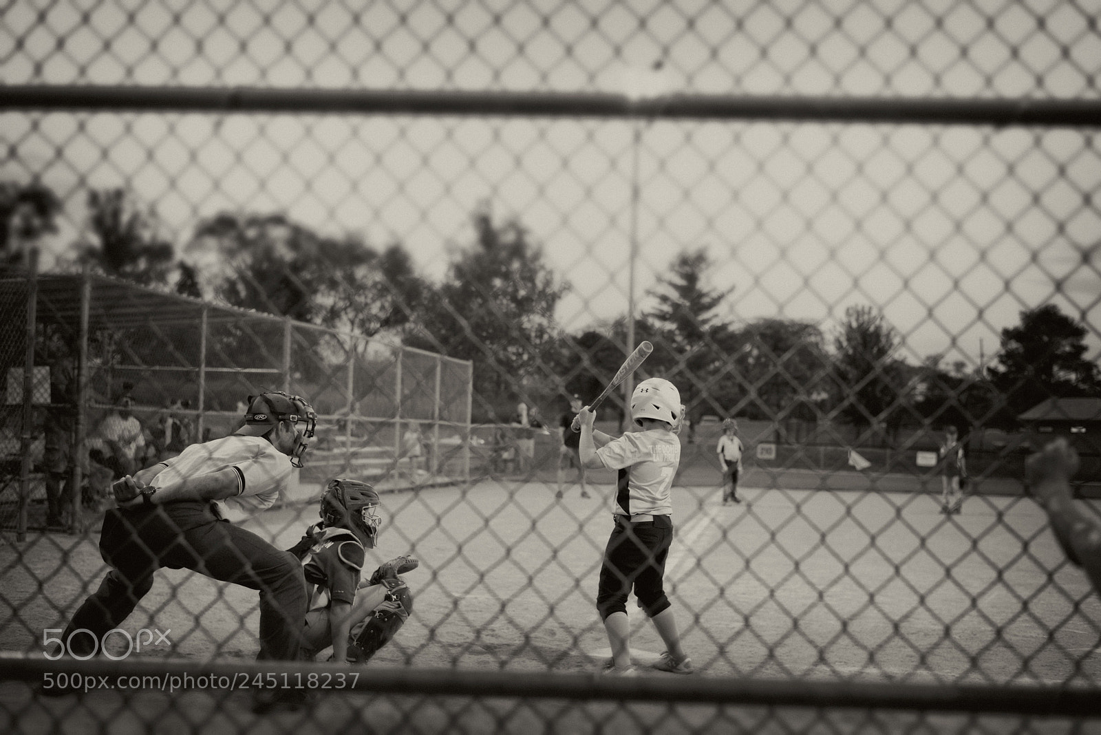 Nikon D810 sample photo. Boys of summer photography