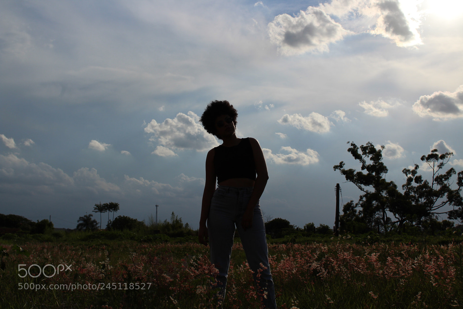 Canon EOS 1300D (EOS Rebel T6 / EOS Kiss X80) sample photo. Silhouette photography