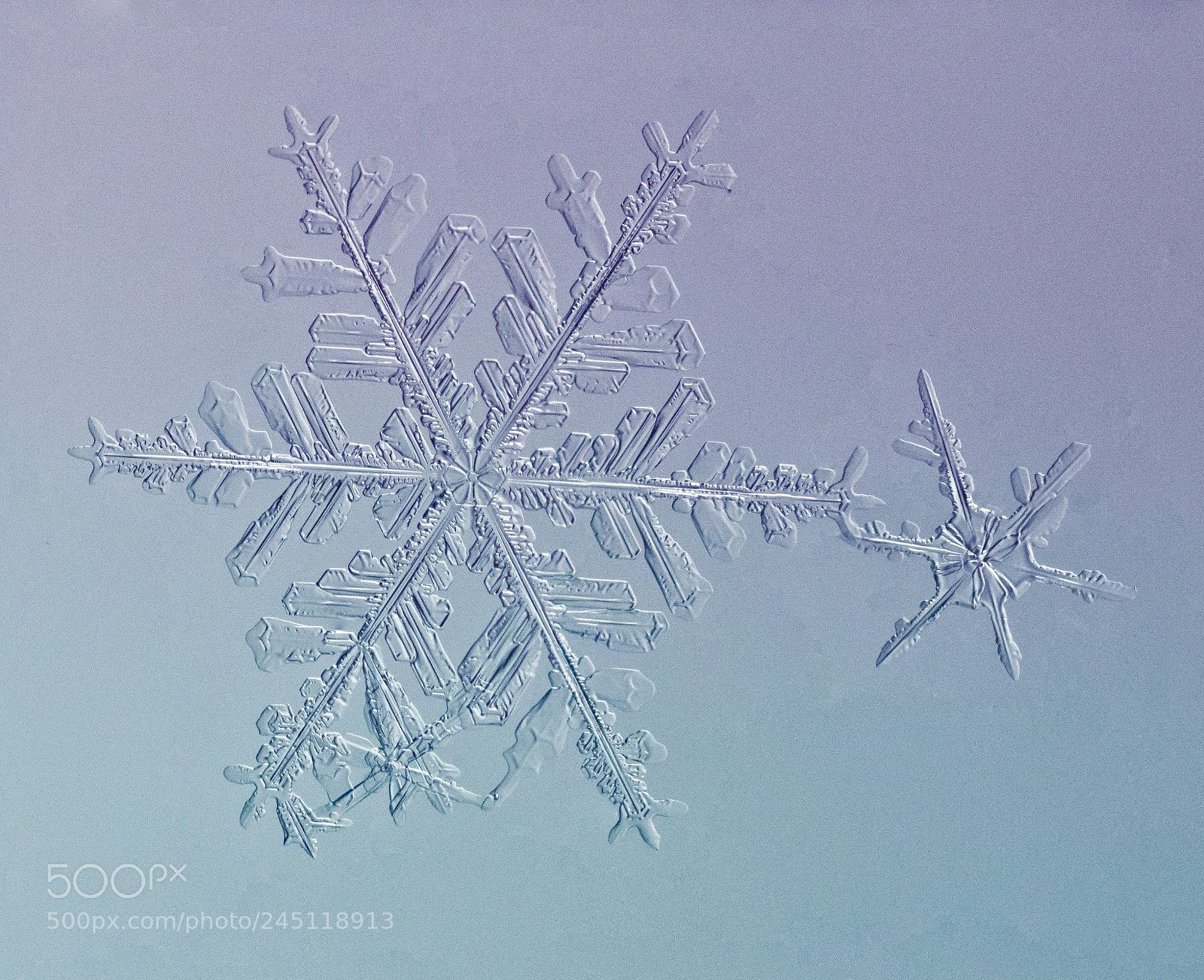 Canon EOS 7D Mark II sample photo. Snowflake photography