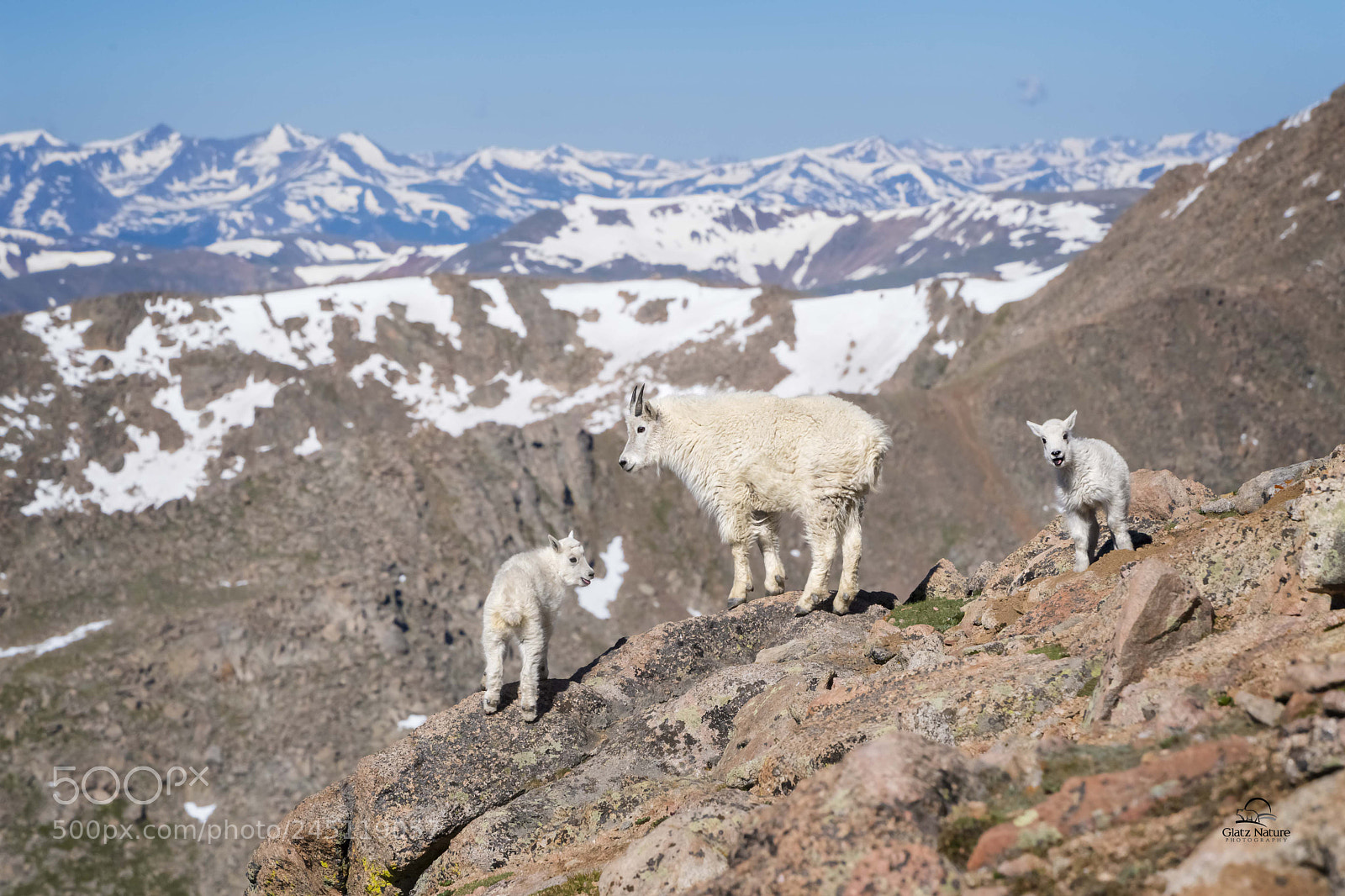 Nikon D5 sample photo. Reunion at 14,000 feet photography